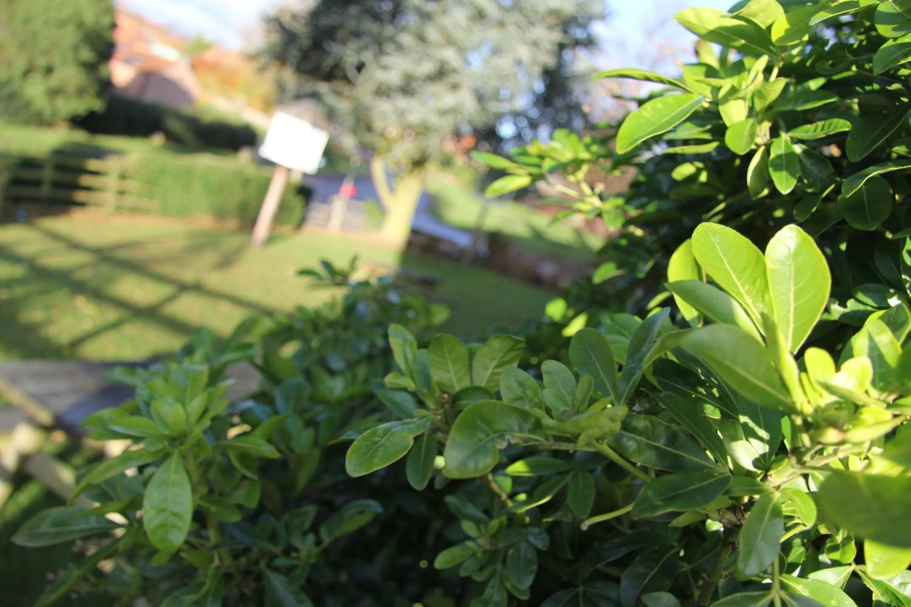 Property building in Dovestays