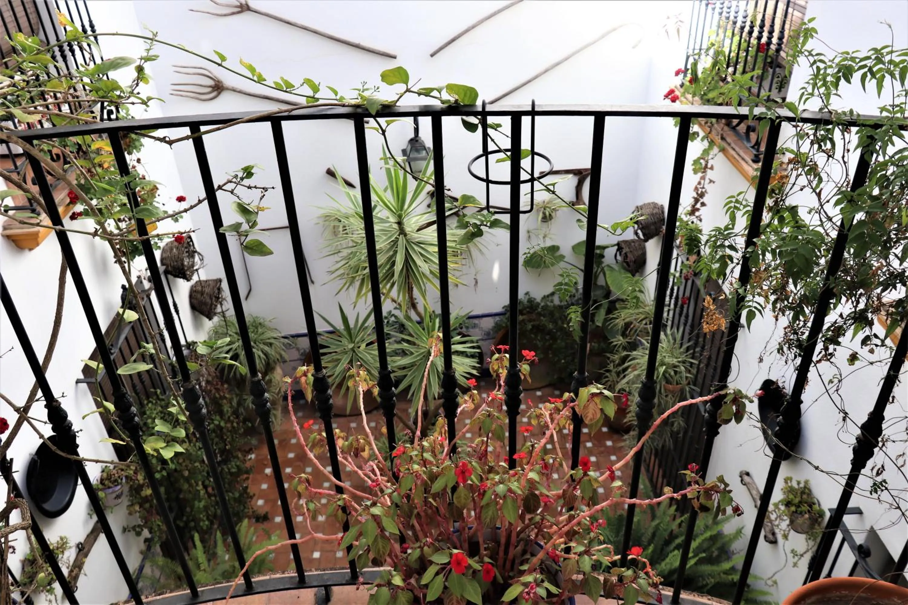 Hostal Ciudad Trigueros