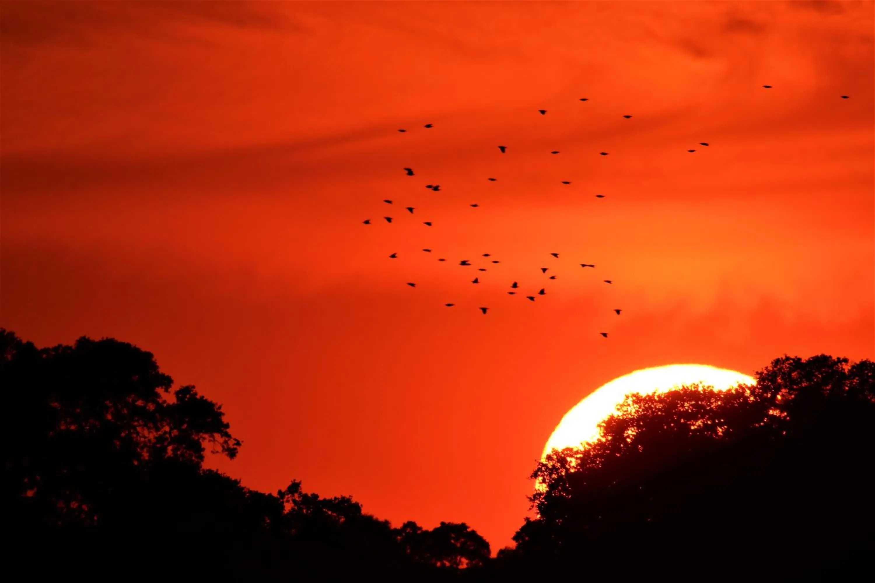 Hostal Ciudad Trigueros