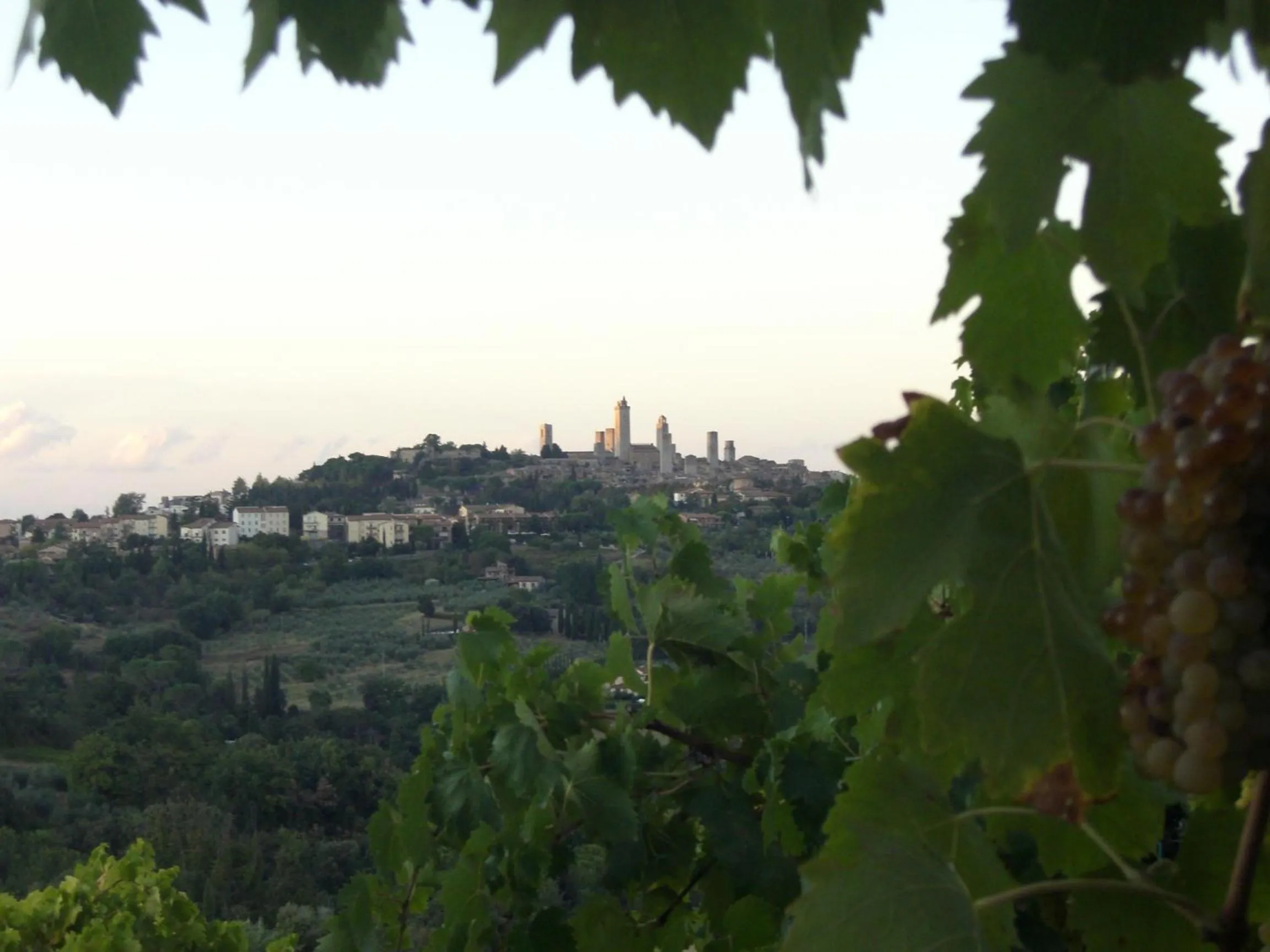 View (from property/room) in Agriturismo Il Casolare Di Bucciano