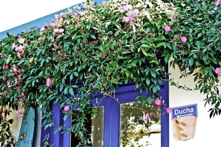 Casa Bossa Nova Guesthouse