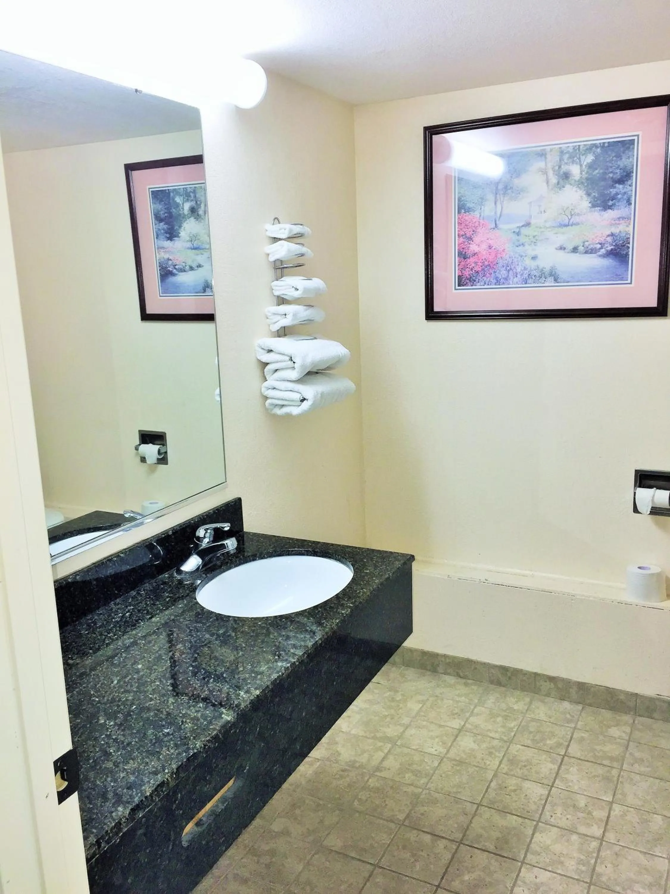 Bathroom in Tollway Inn Beloit