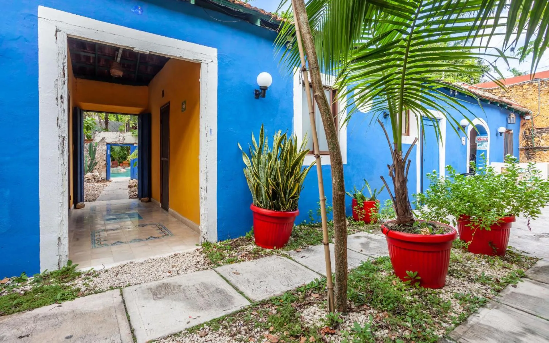 Garden in Che Nomadas Mérida Hostel