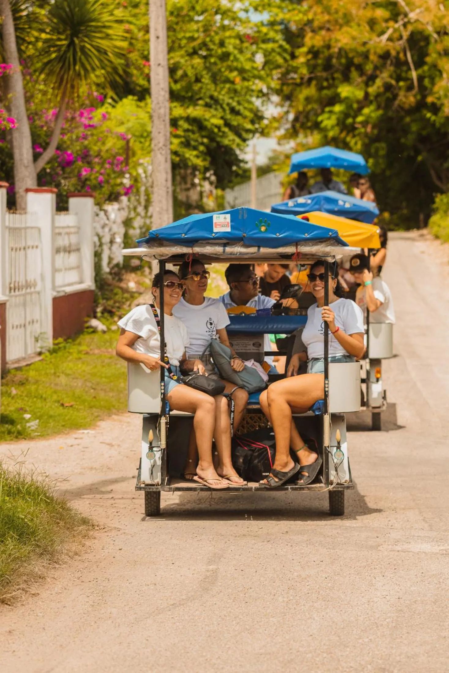 Activities in Che Nomadas Mérida Hostel