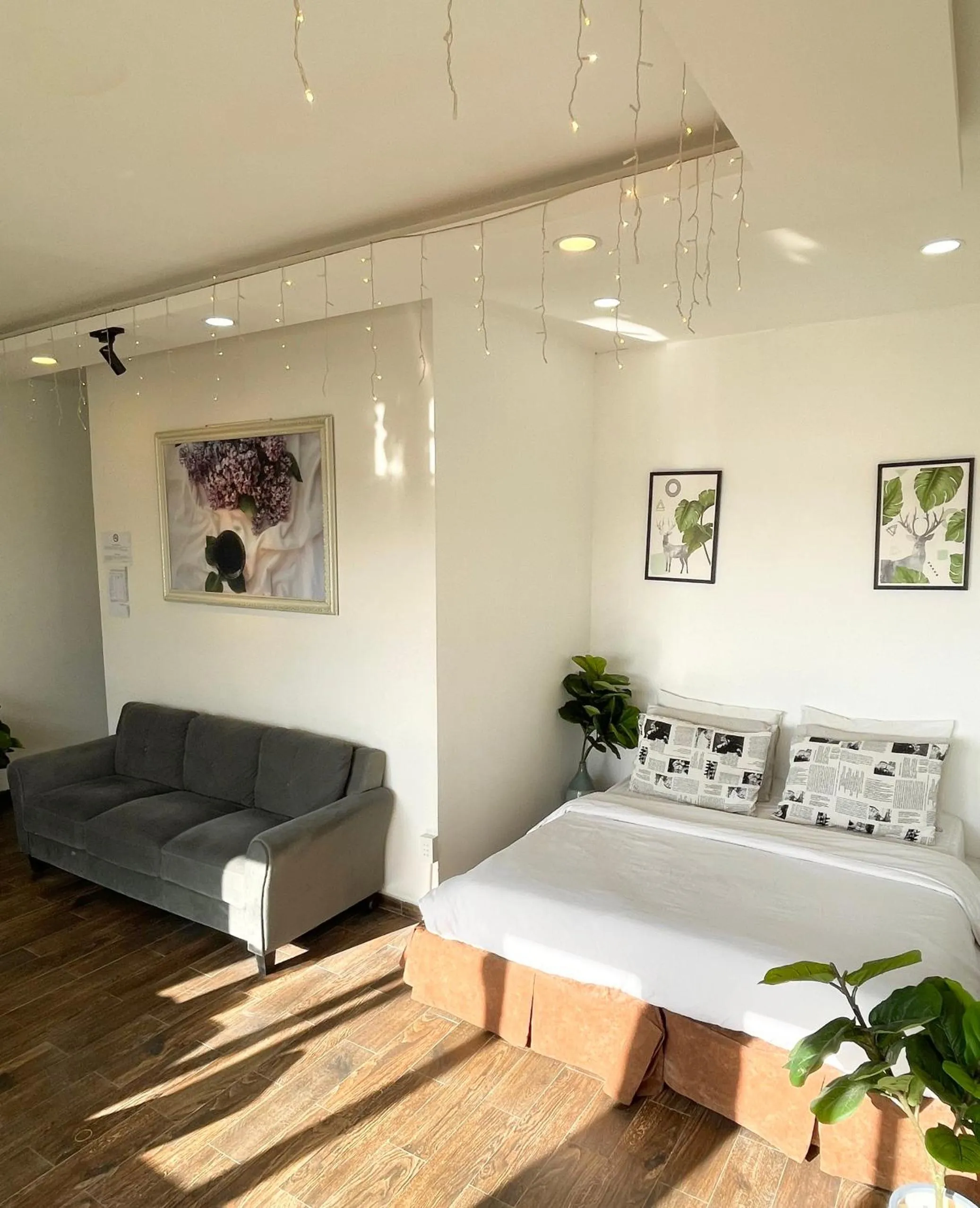 Street View Hotel & Apartment