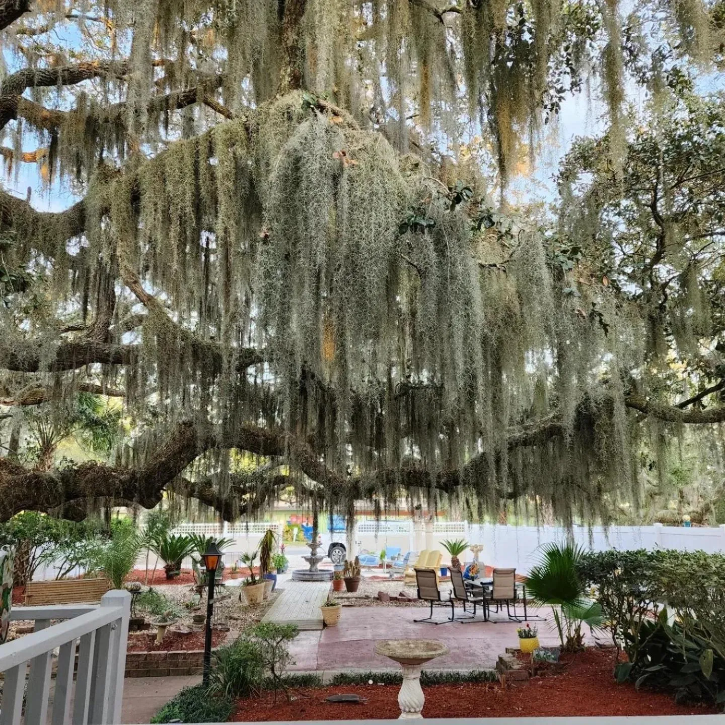 Tybee Island Inn Bed & Breakfast