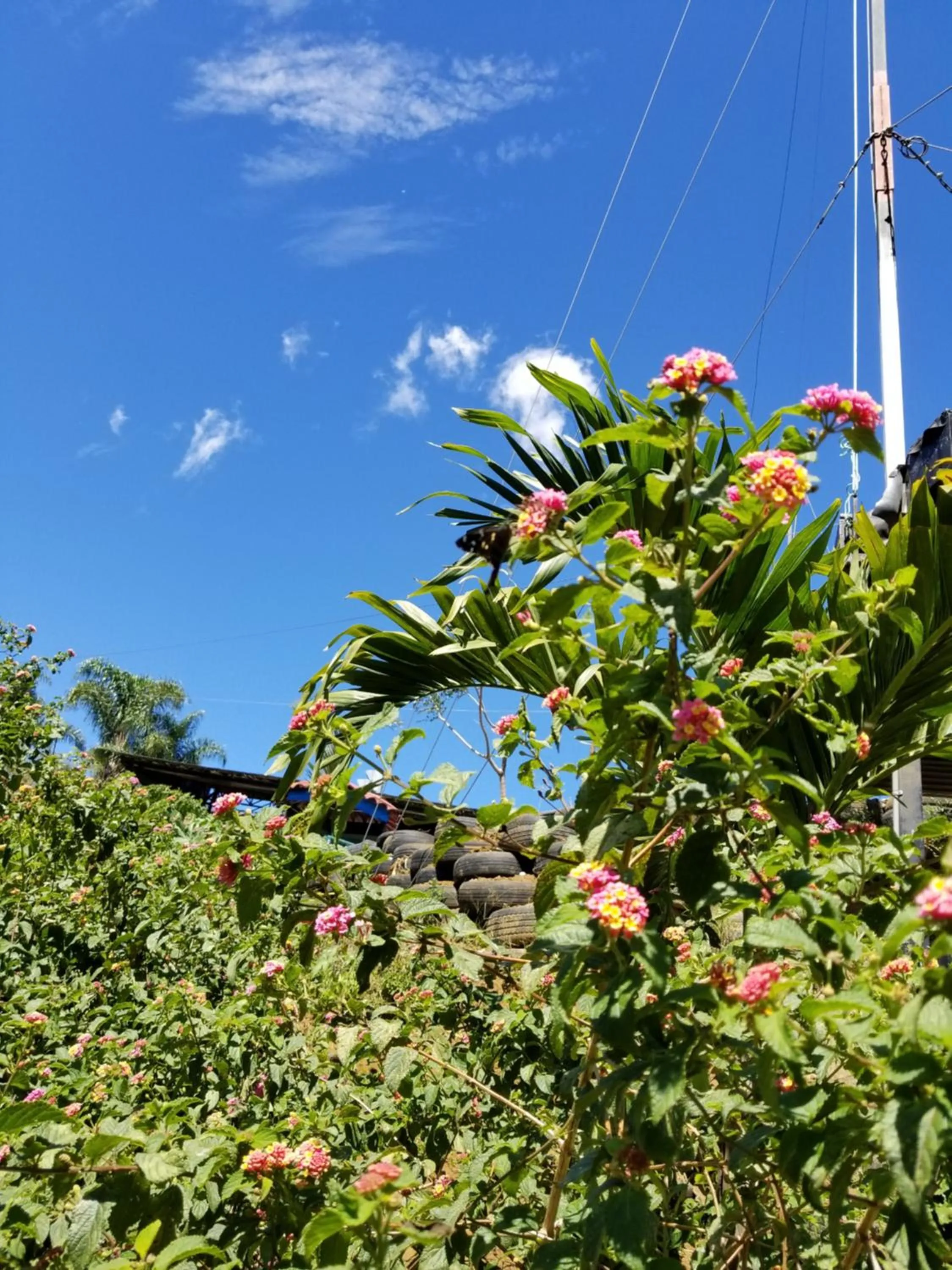 Hotel Monte Campana Heredia