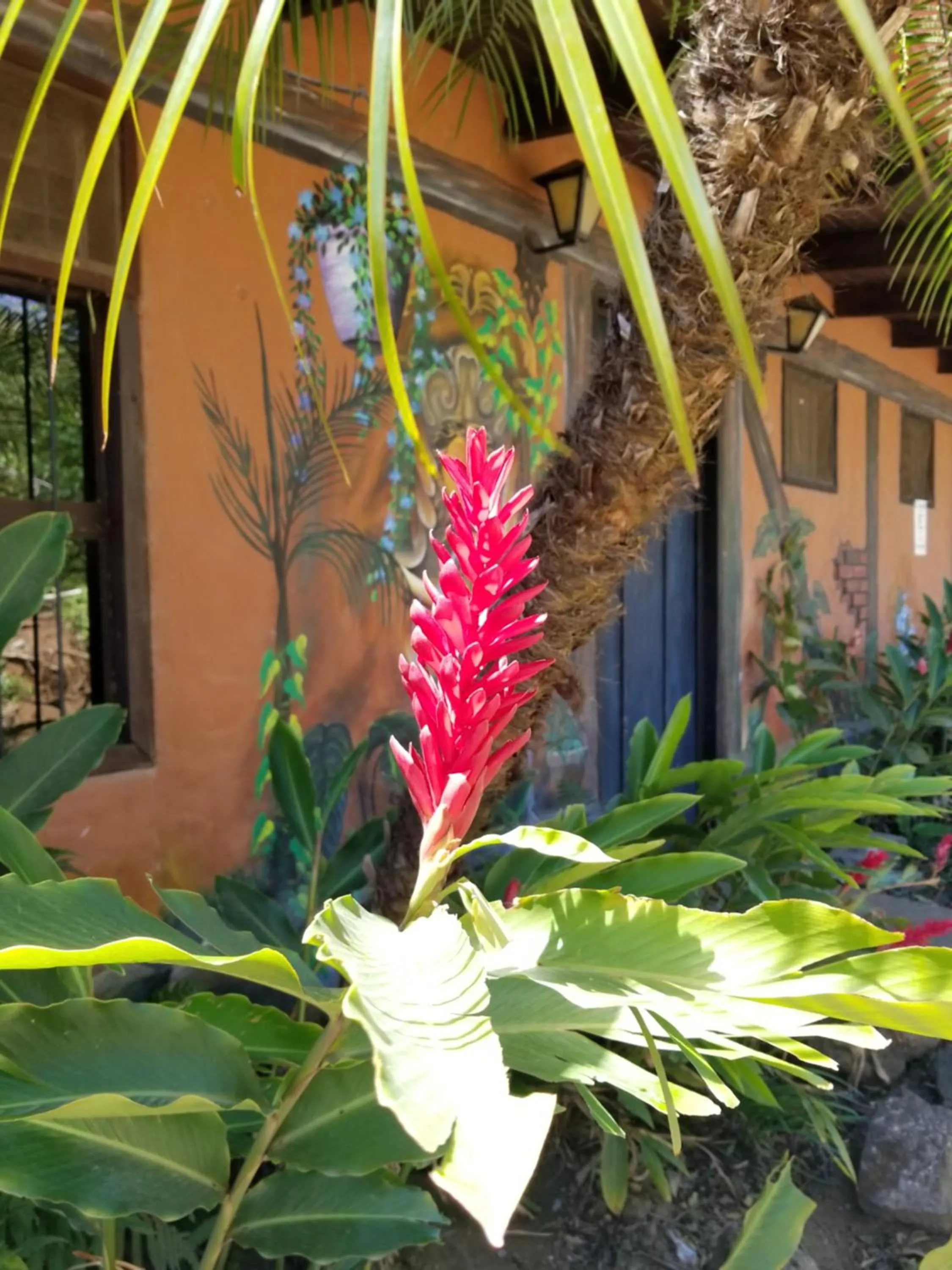 Hotel Monte Campana Heredia