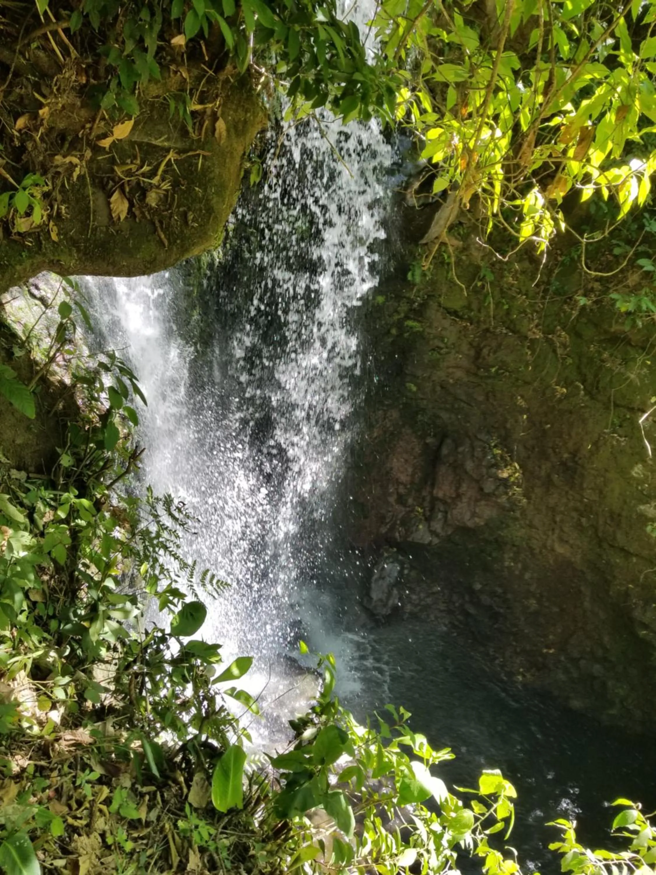 Hotel Monte Campana Heredia