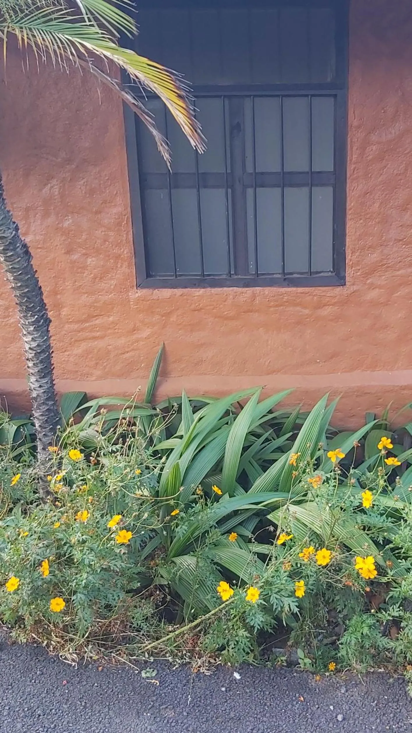 Hotel Monte Campana Heredia