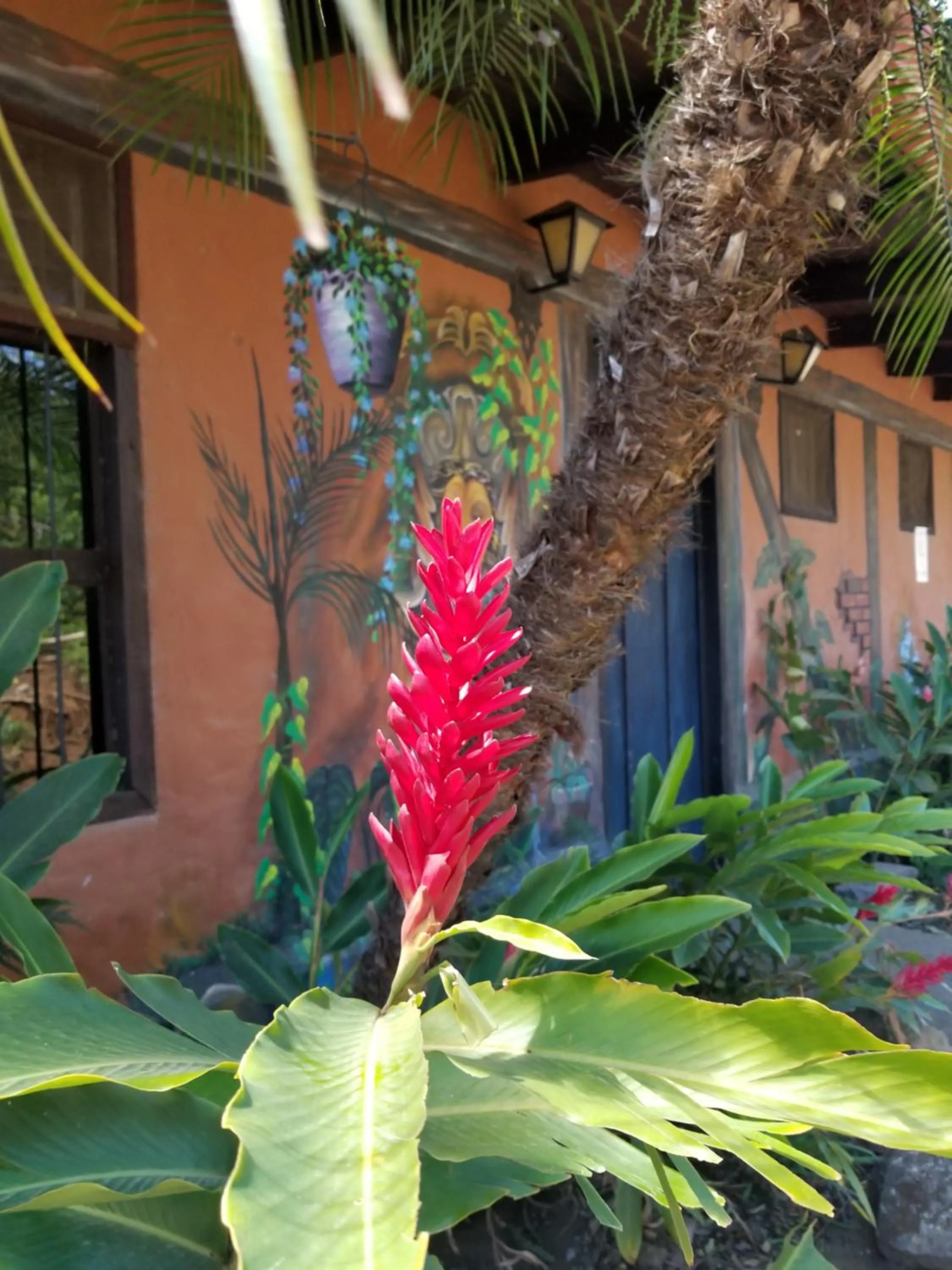 Hotel Monte Campana Heredia