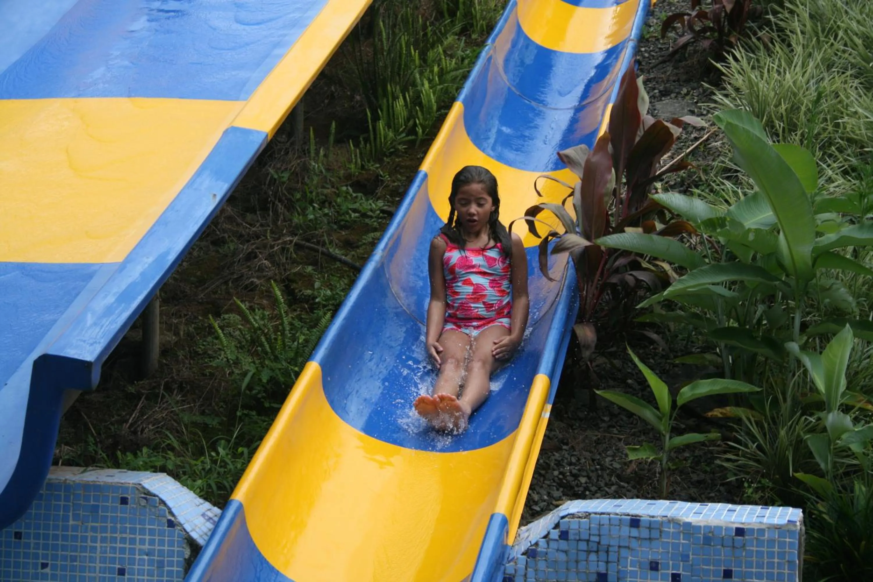 Hotel Monte Campana Heredia