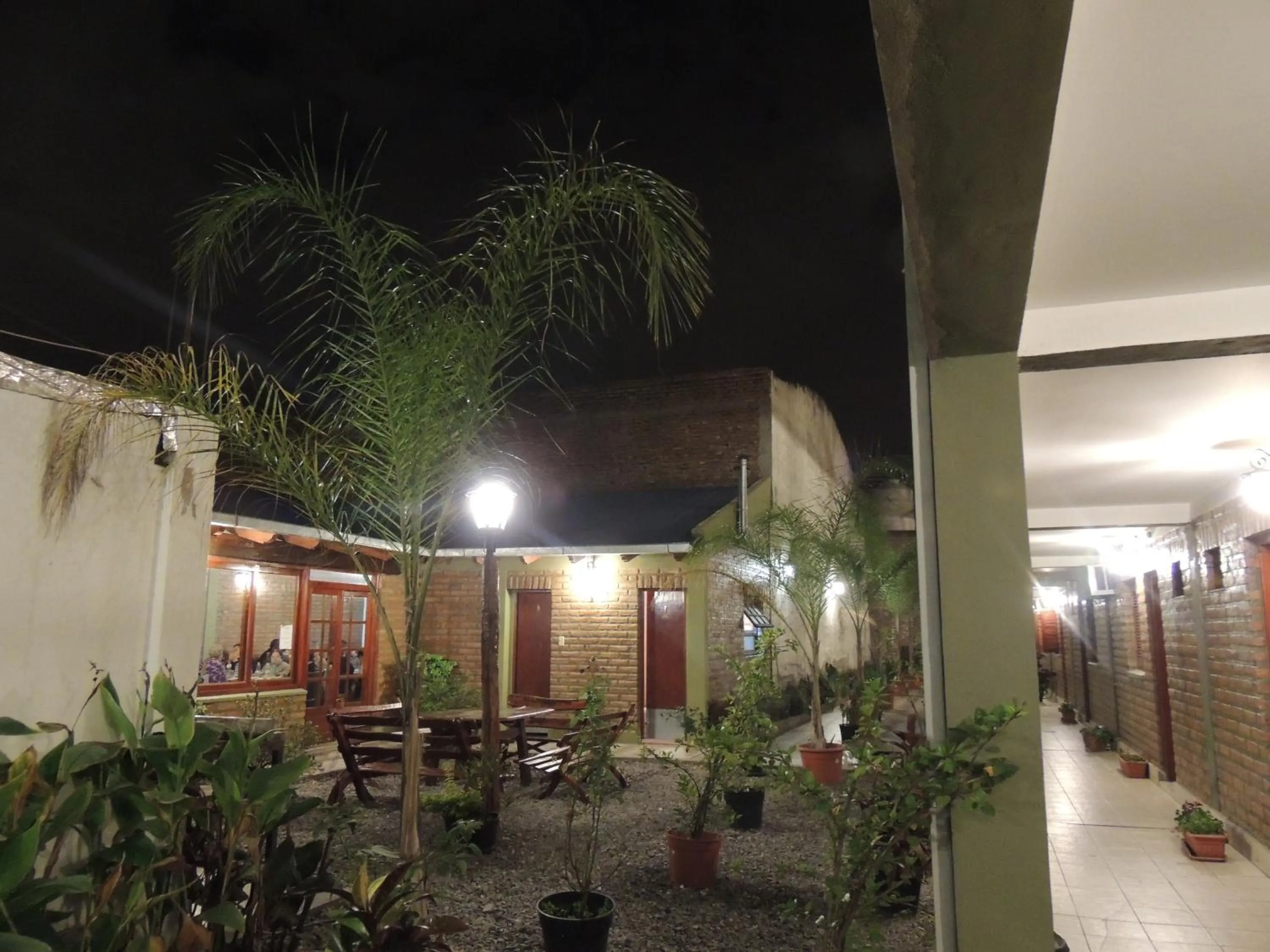 Garden in Hotel Buenos Aires