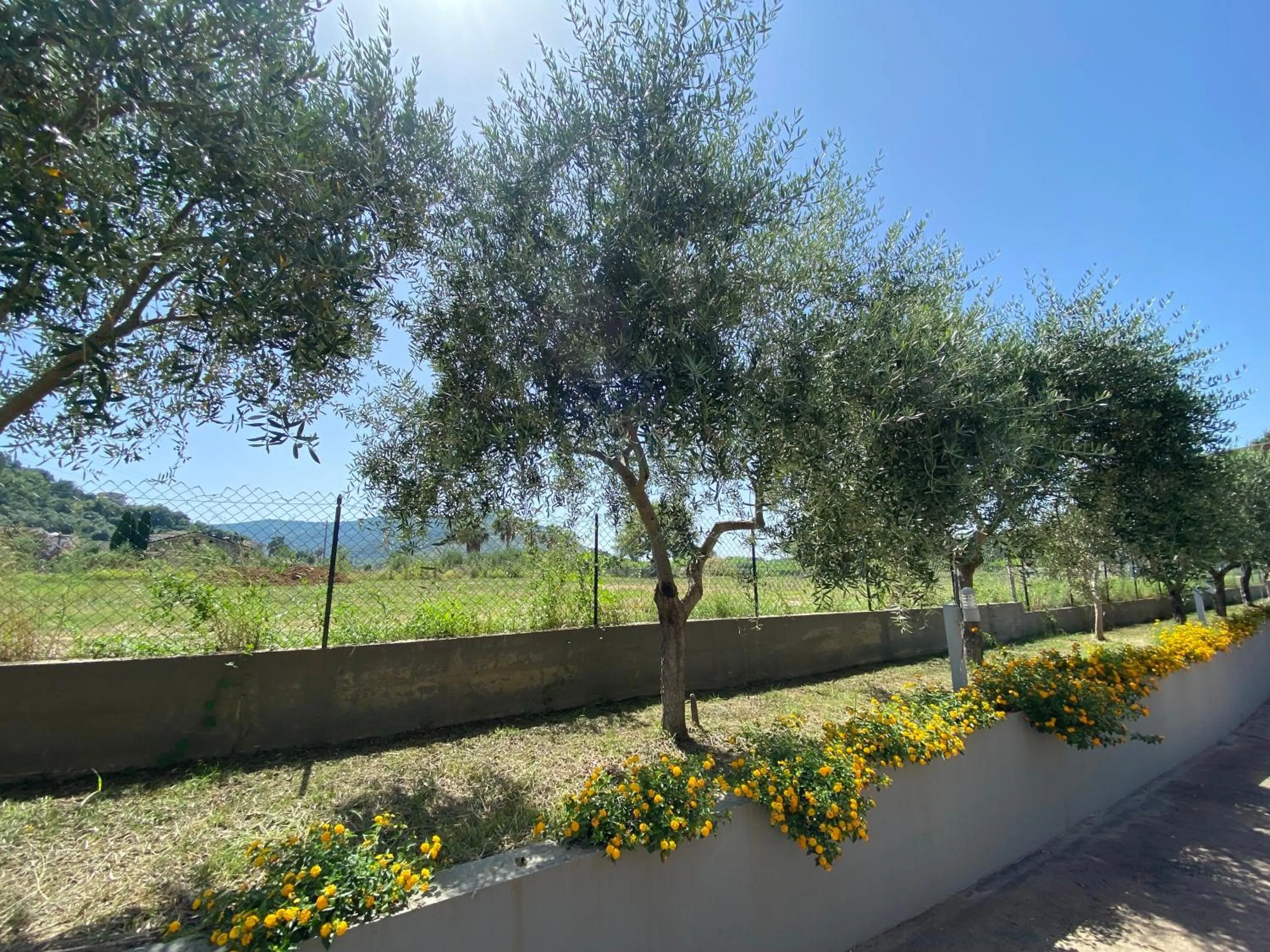 Garden in Miro' Agropoli