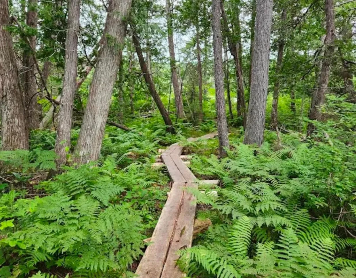 Hiking in Katahdin Inn & Suites