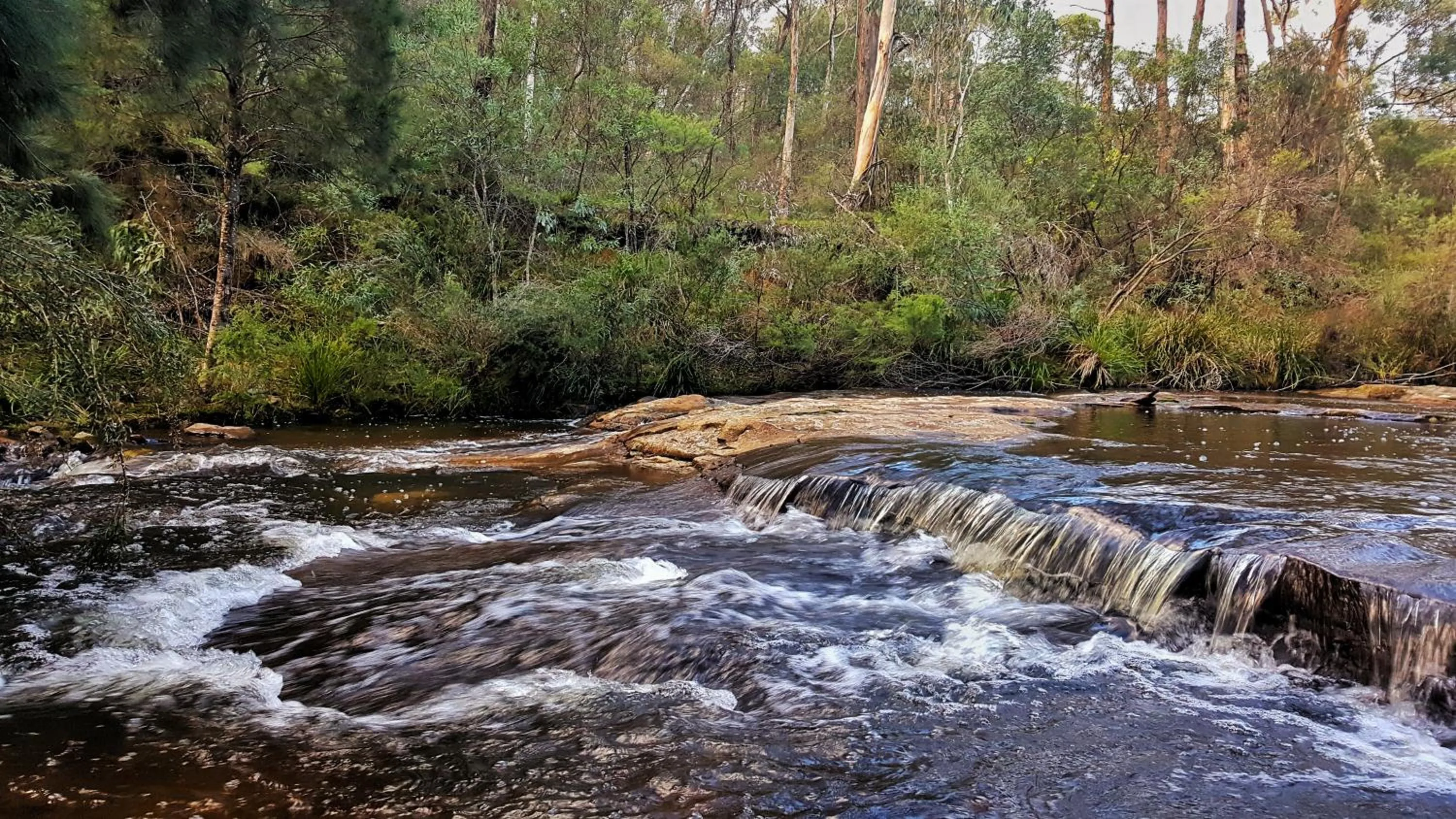 Natural landscape in Maya Sanctuary