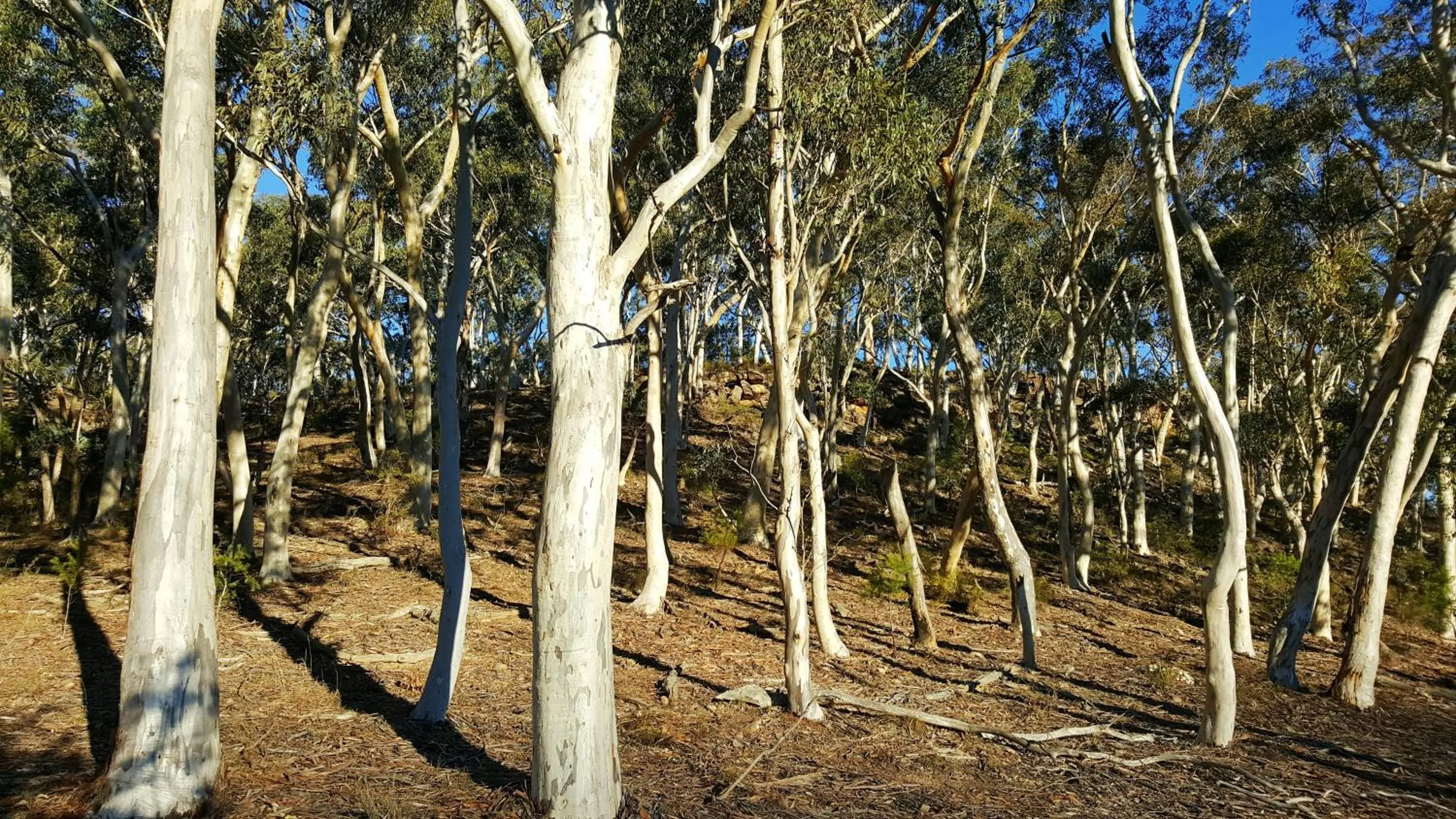 Natural landscape in Maya Sanctuary