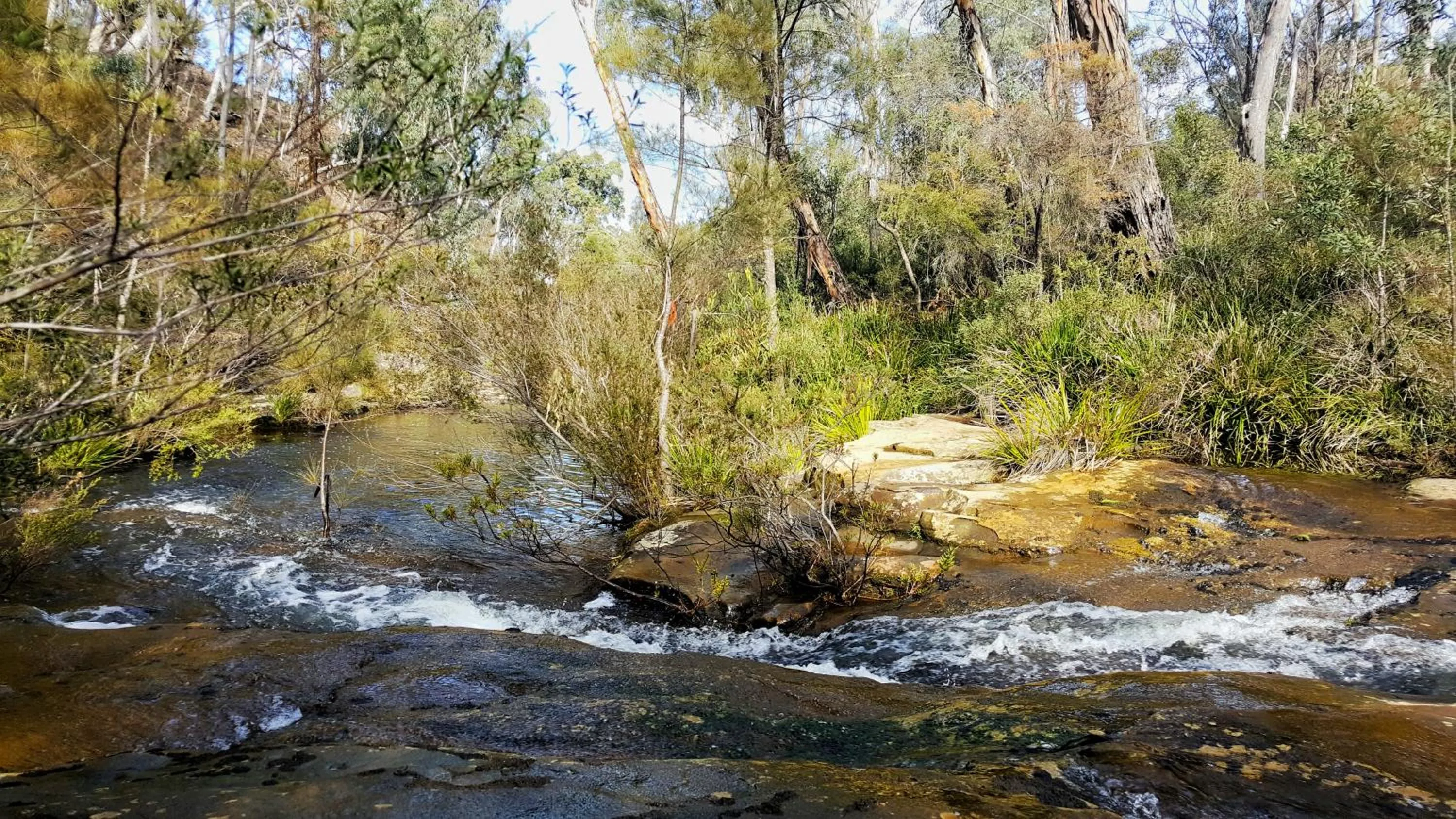Natural landscape in Maya Sanctuary