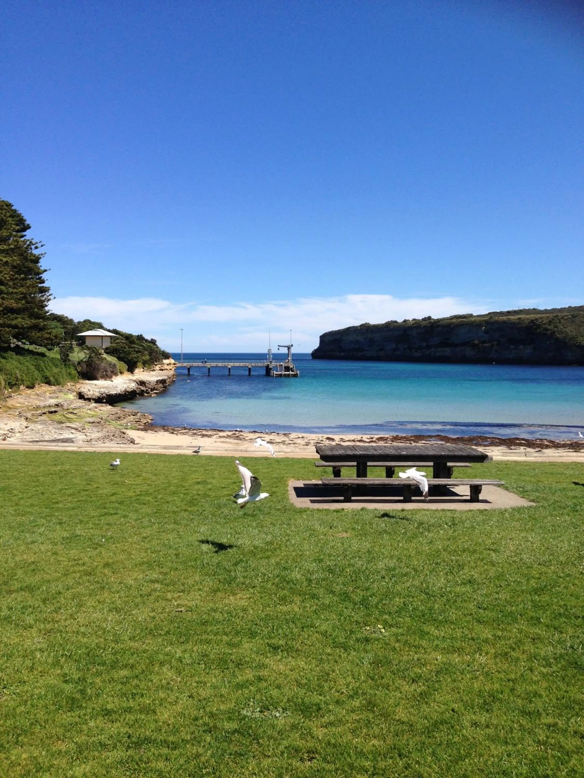 Beach in Daysy Hill Country Cottages