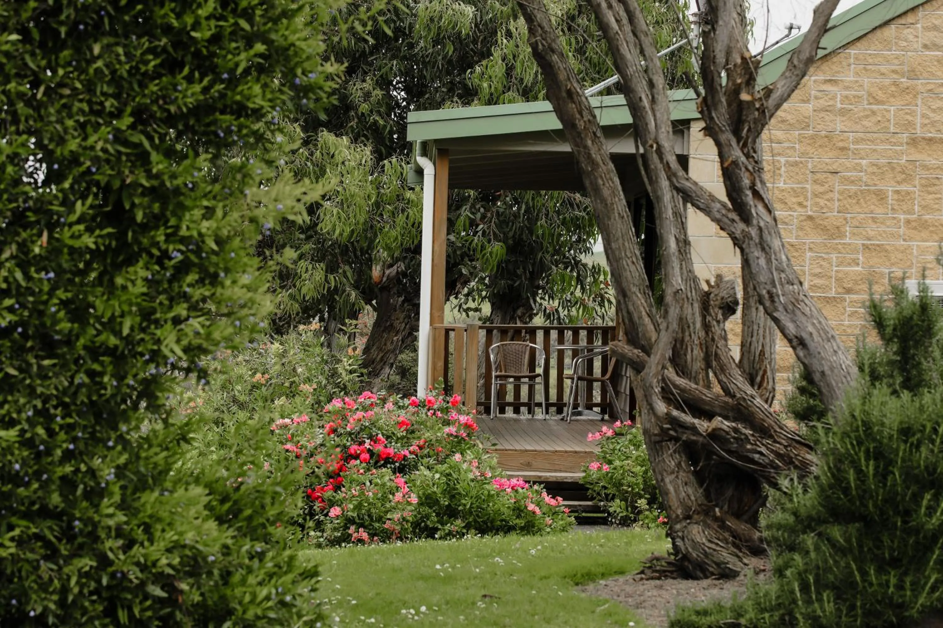 Garden in Daysy Hill Country Cottages