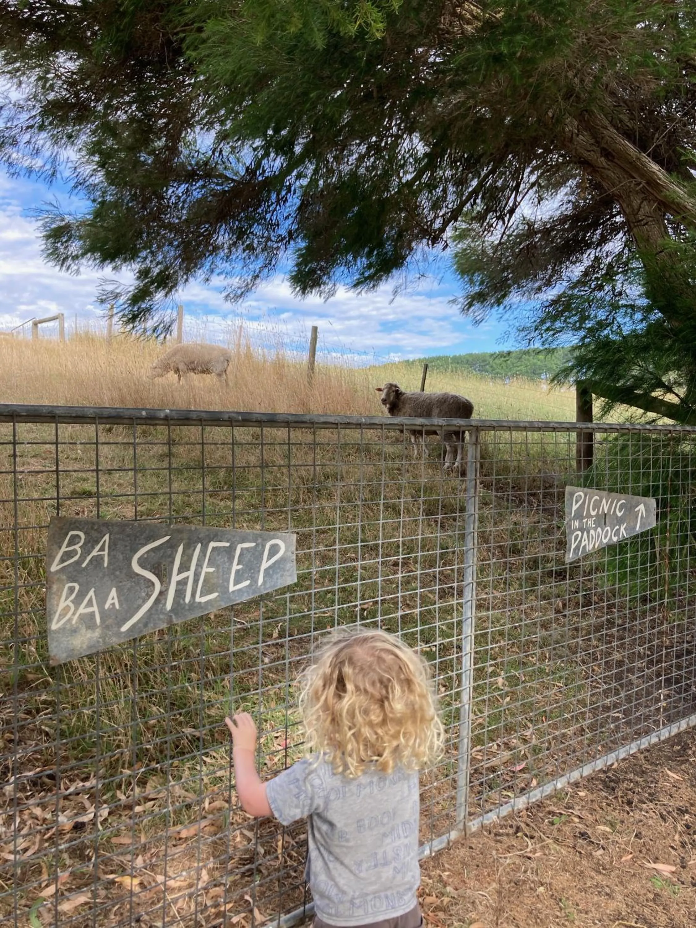 Garden in Daysy Hill Country Cottages
