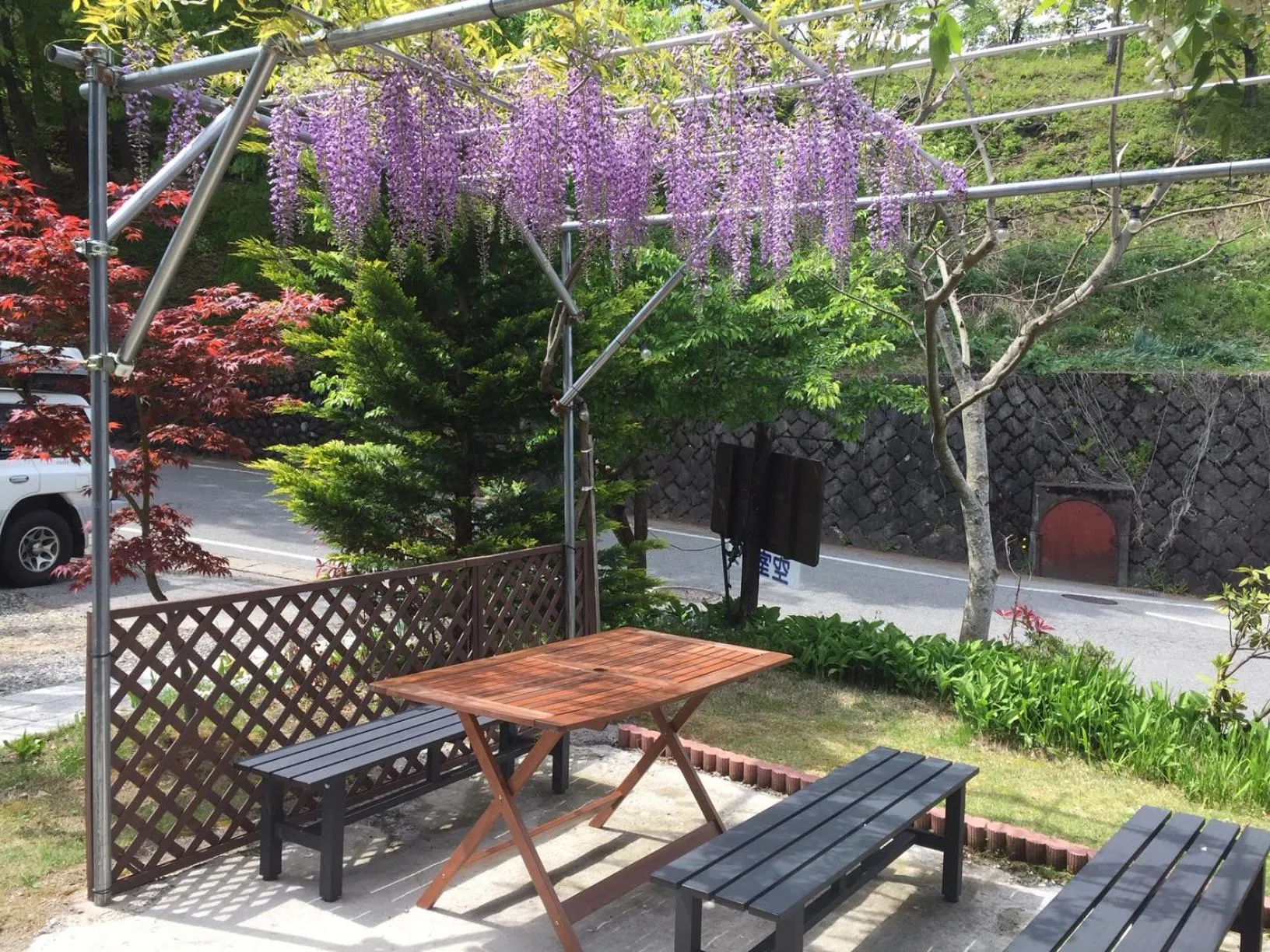 Garden in Sakura Guest House
