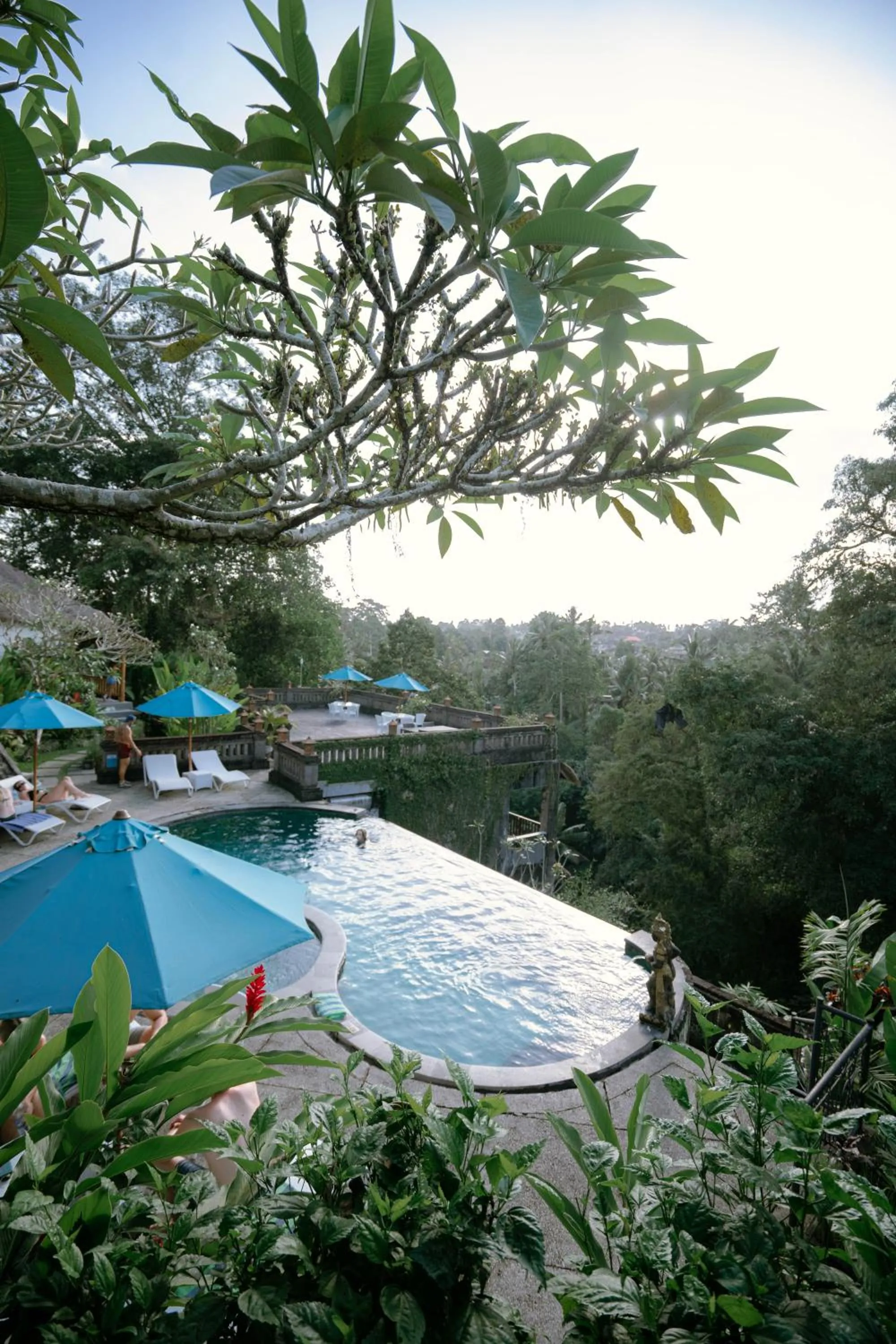 Pool view in Ubud Dedari Villas