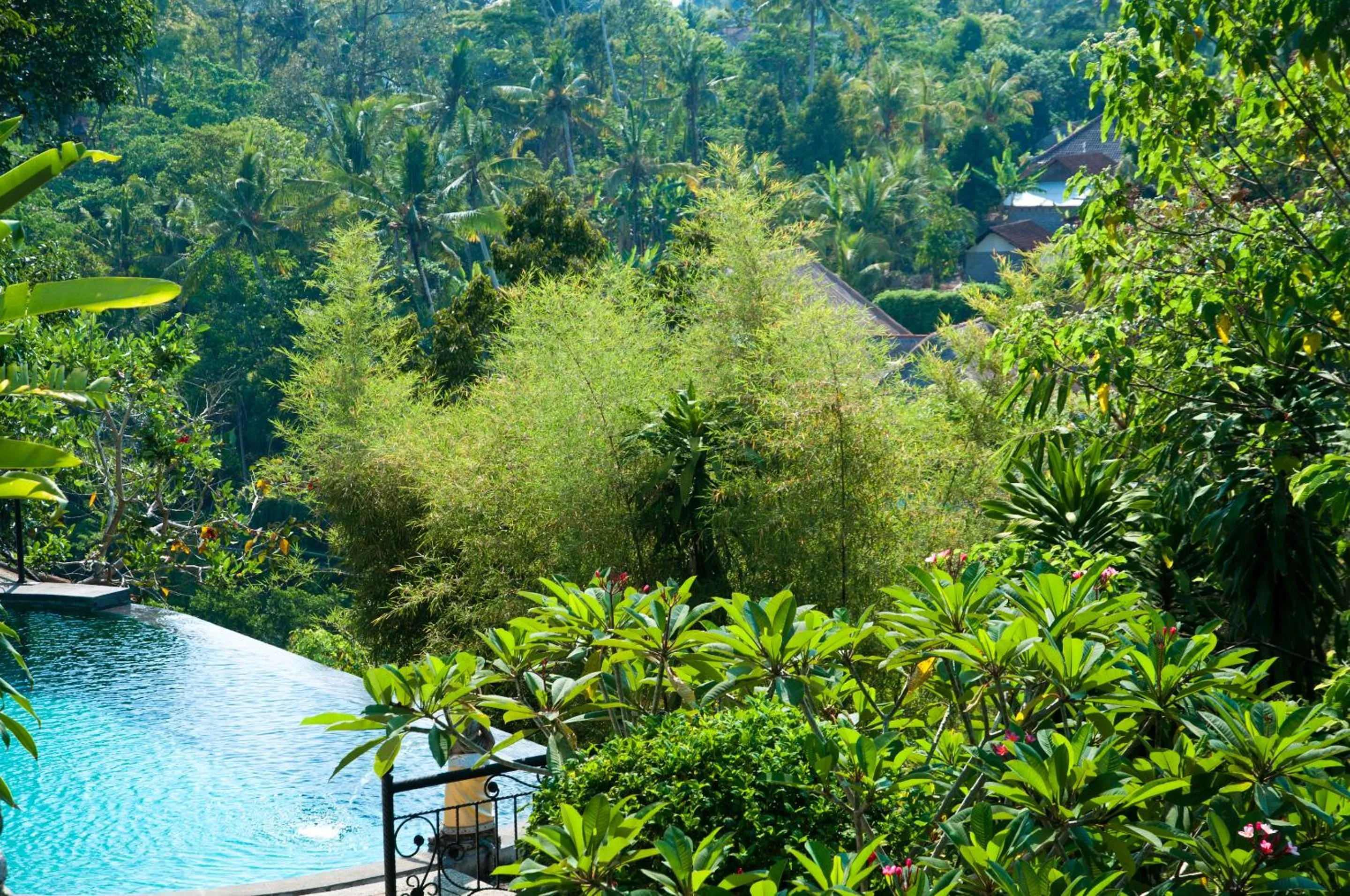 View (from property/room) in Ubud Dedari Villas