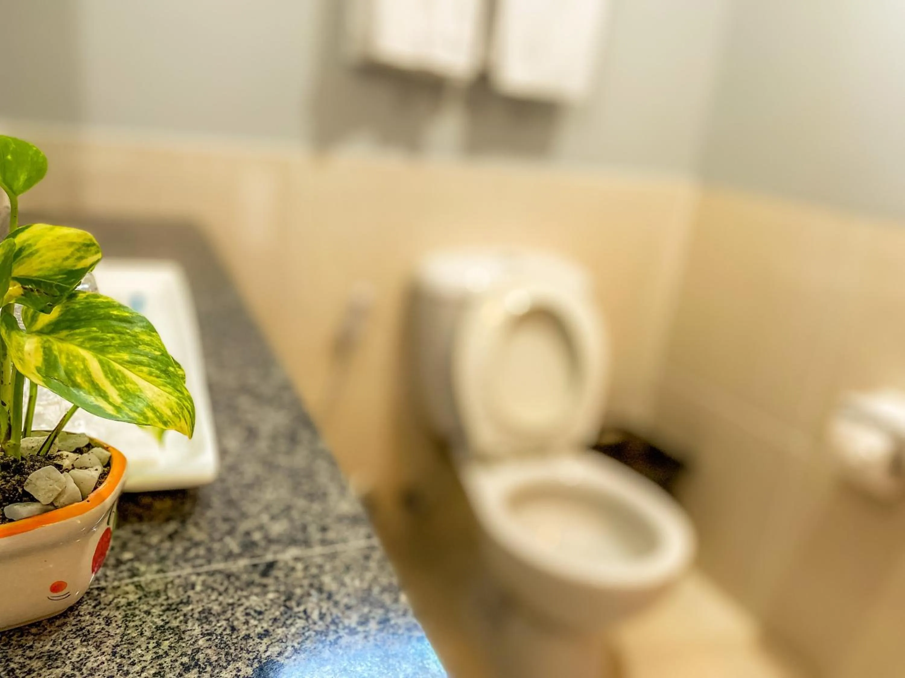 Toilet in Sino Inn Phuket Hotel - SHA Plus