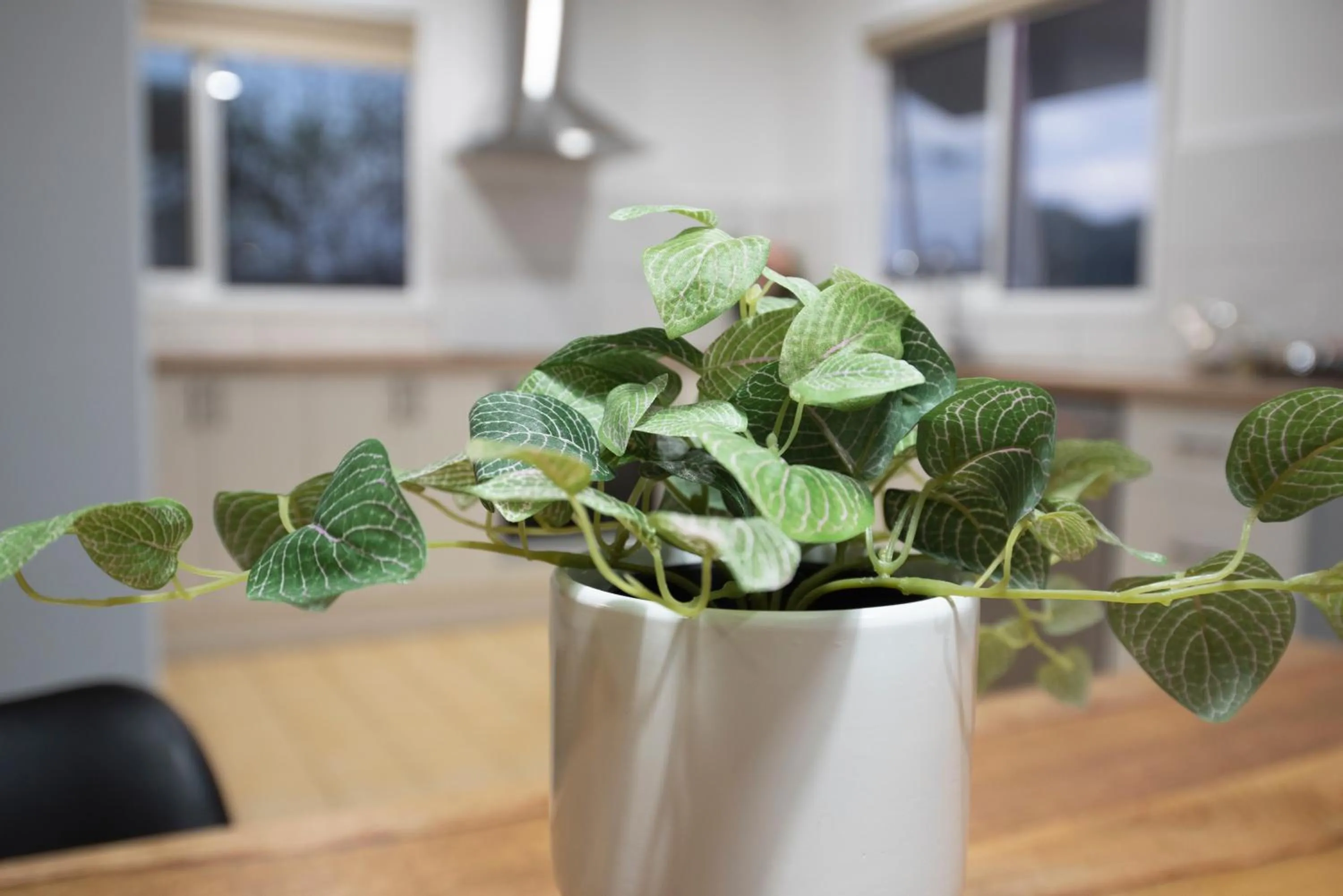 Living room in Port Campbell Motor Inn