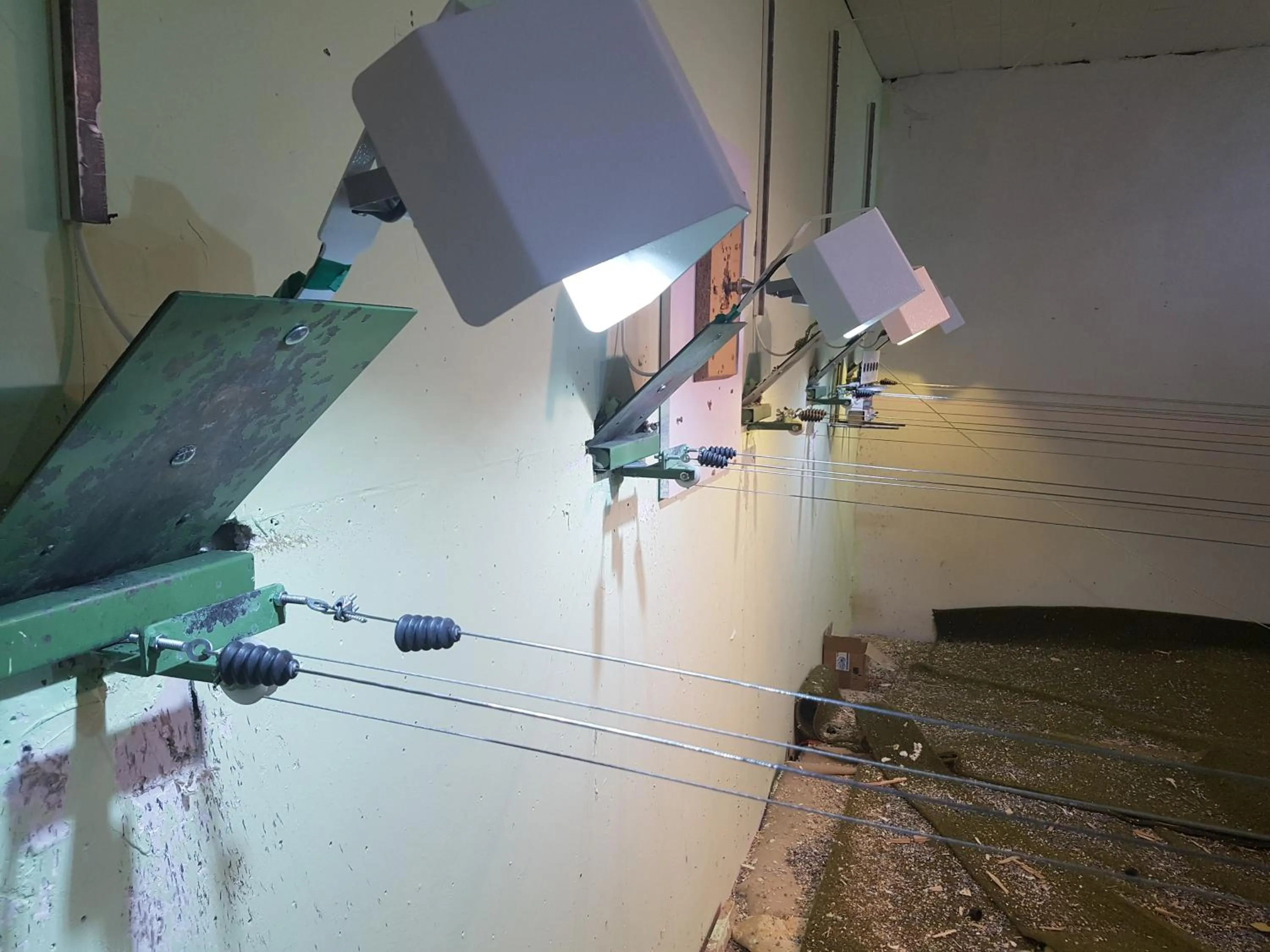 Entertainment in Hotel Zur Engelsburg