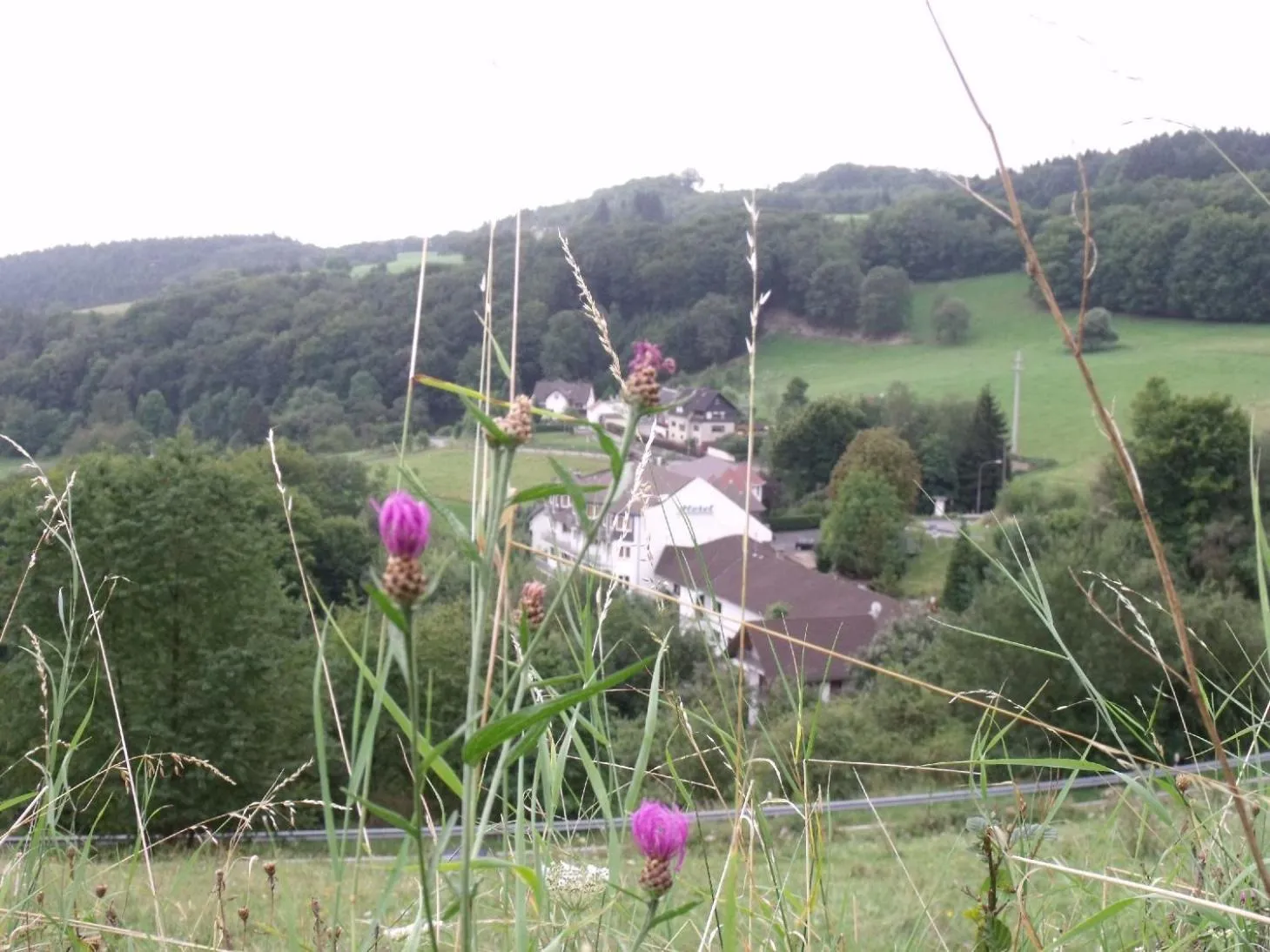 View (from property/room) in Hotel Zur Engelsburg