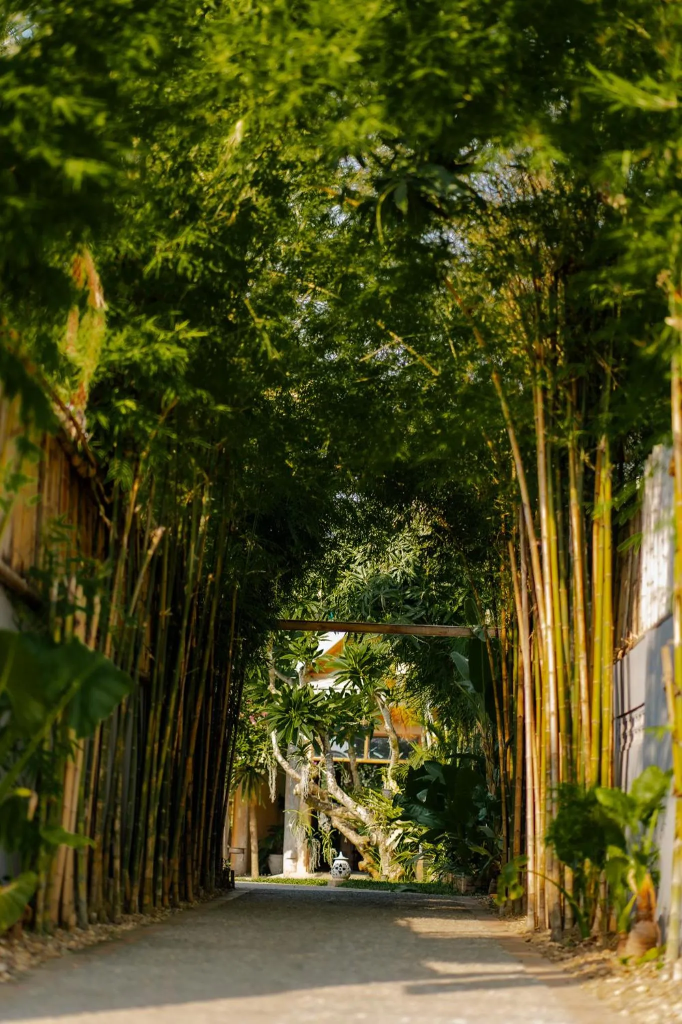 Facade/entrance in My Dream Boutique Resort