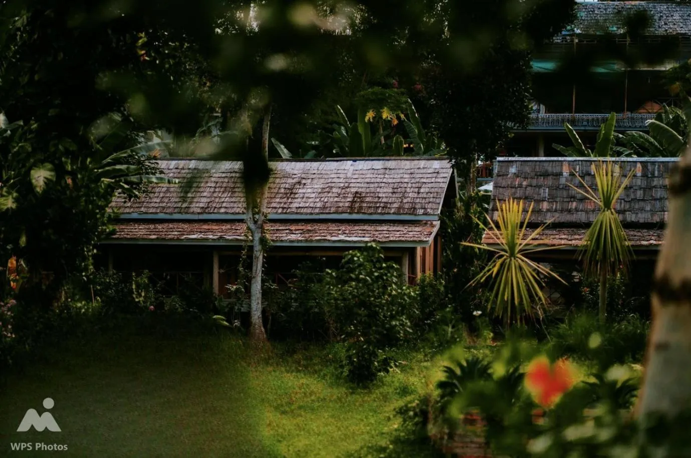 Garden in My Dream Boutique Resort