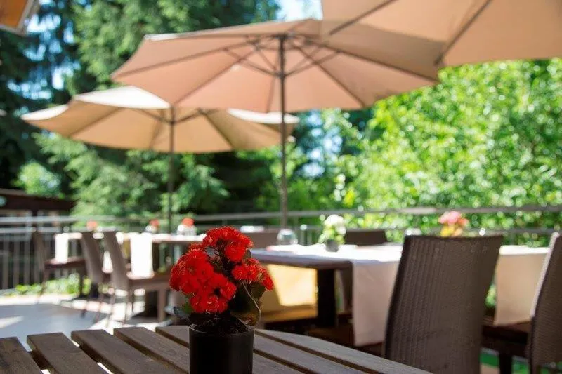 Balcony/Terrace in Restaurant Niedmühle Land & Genuss Hotel