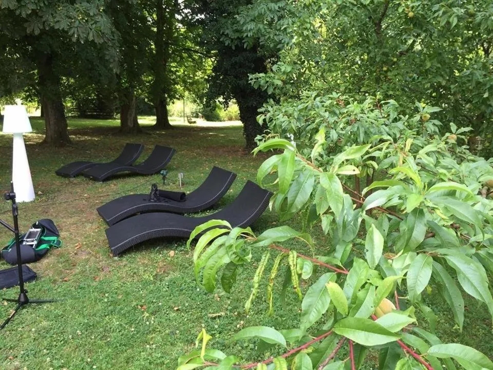 Restaurant/places to eat in Restaurant Niedmühle Land & Genuss Hotel