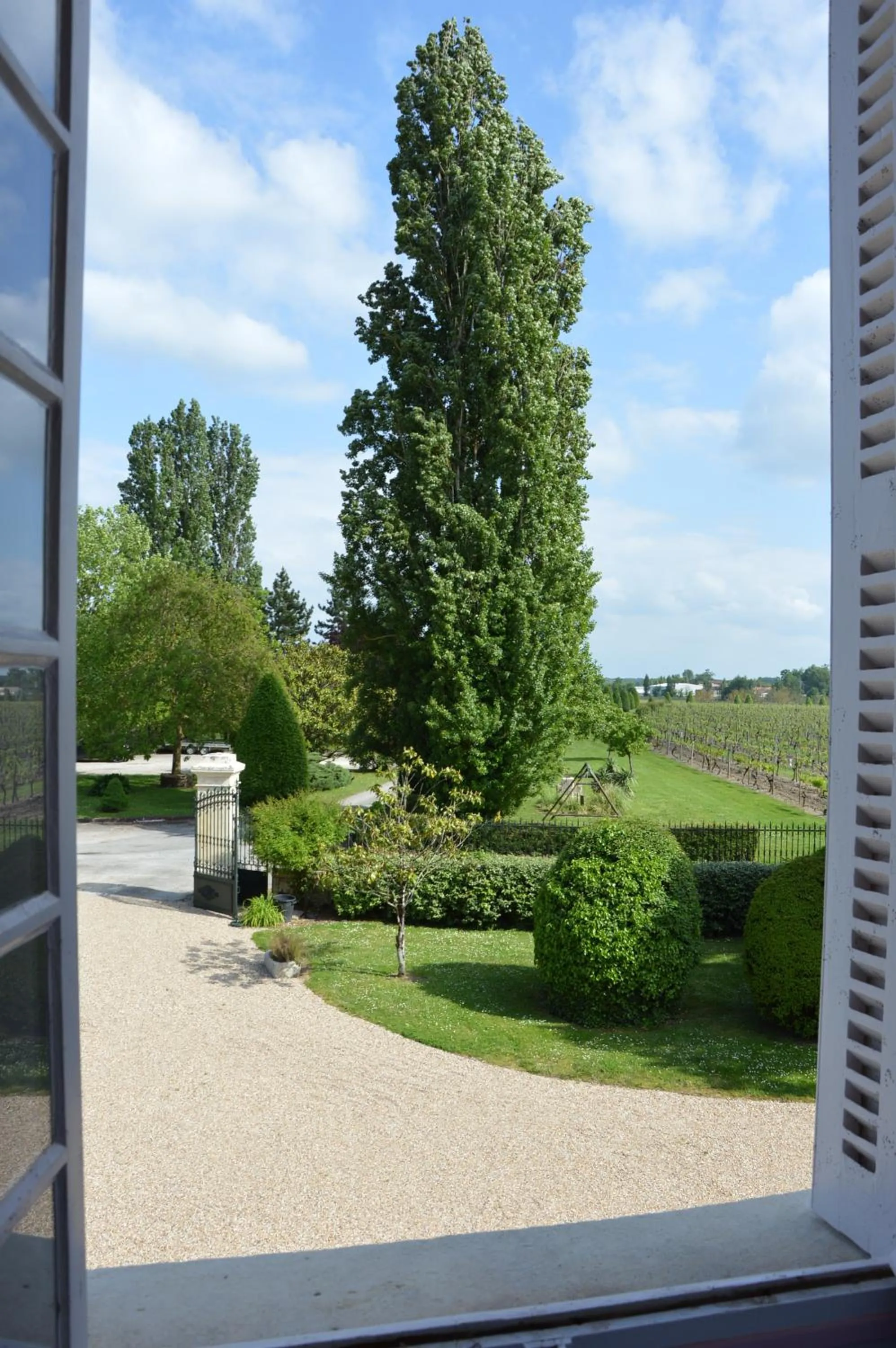 Garden view in Logis Des Bessons