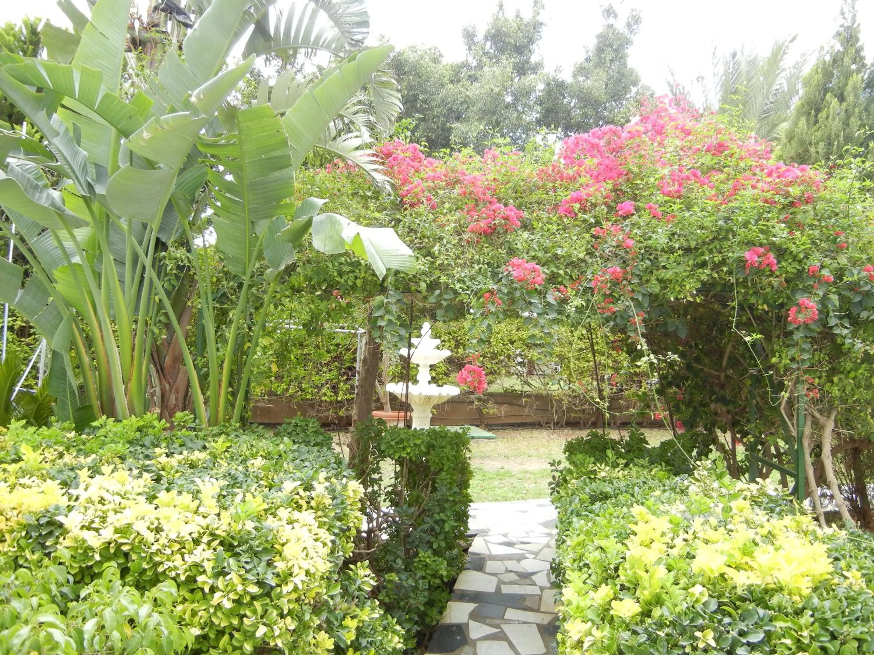 Garden in Tsialis Hotel Apartments
