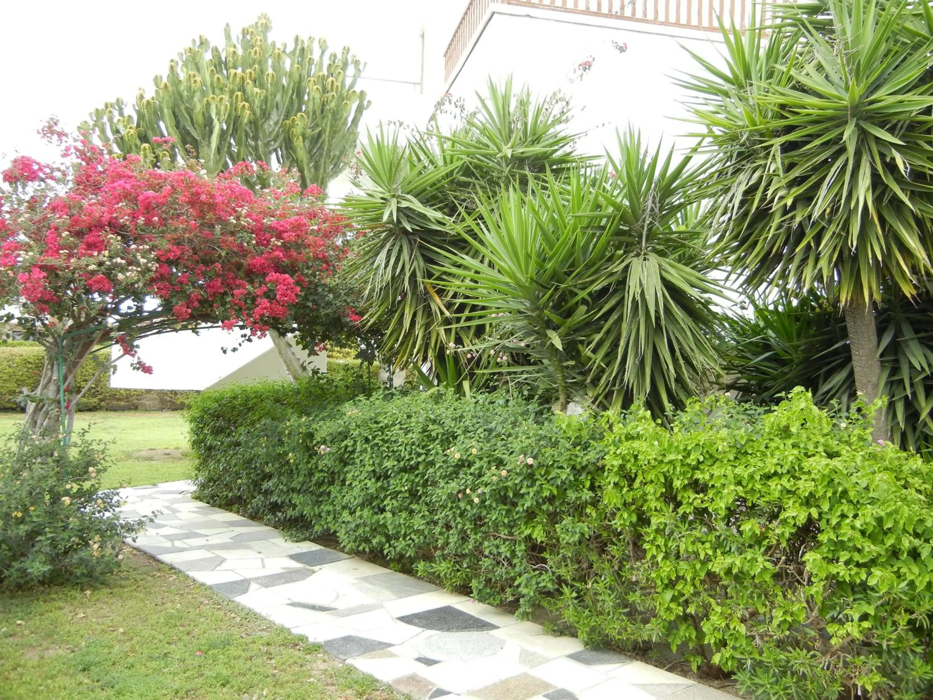 Garden in Tsialis Hotel Apartments