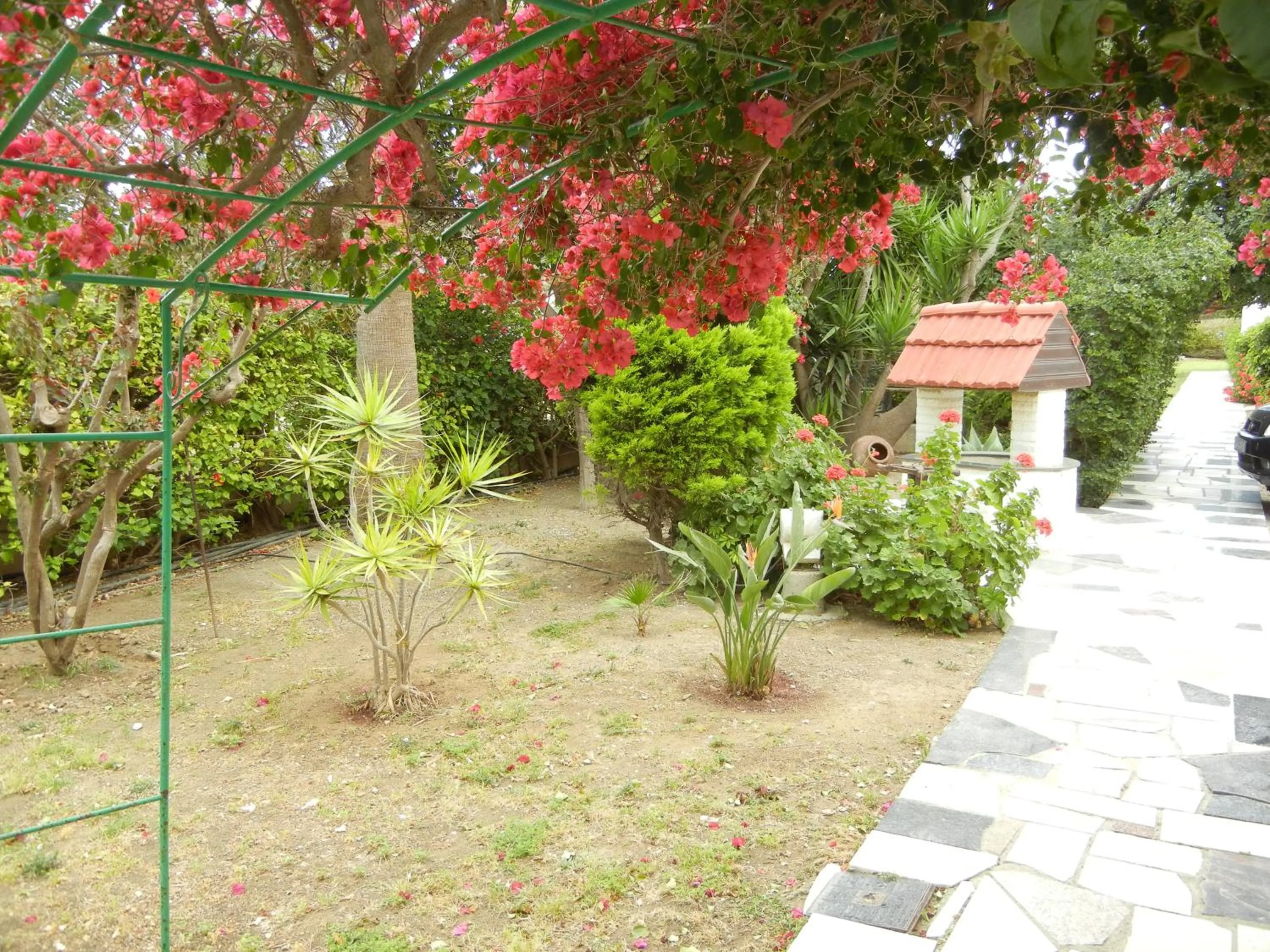 Day in Tsialis Hotel Apartments