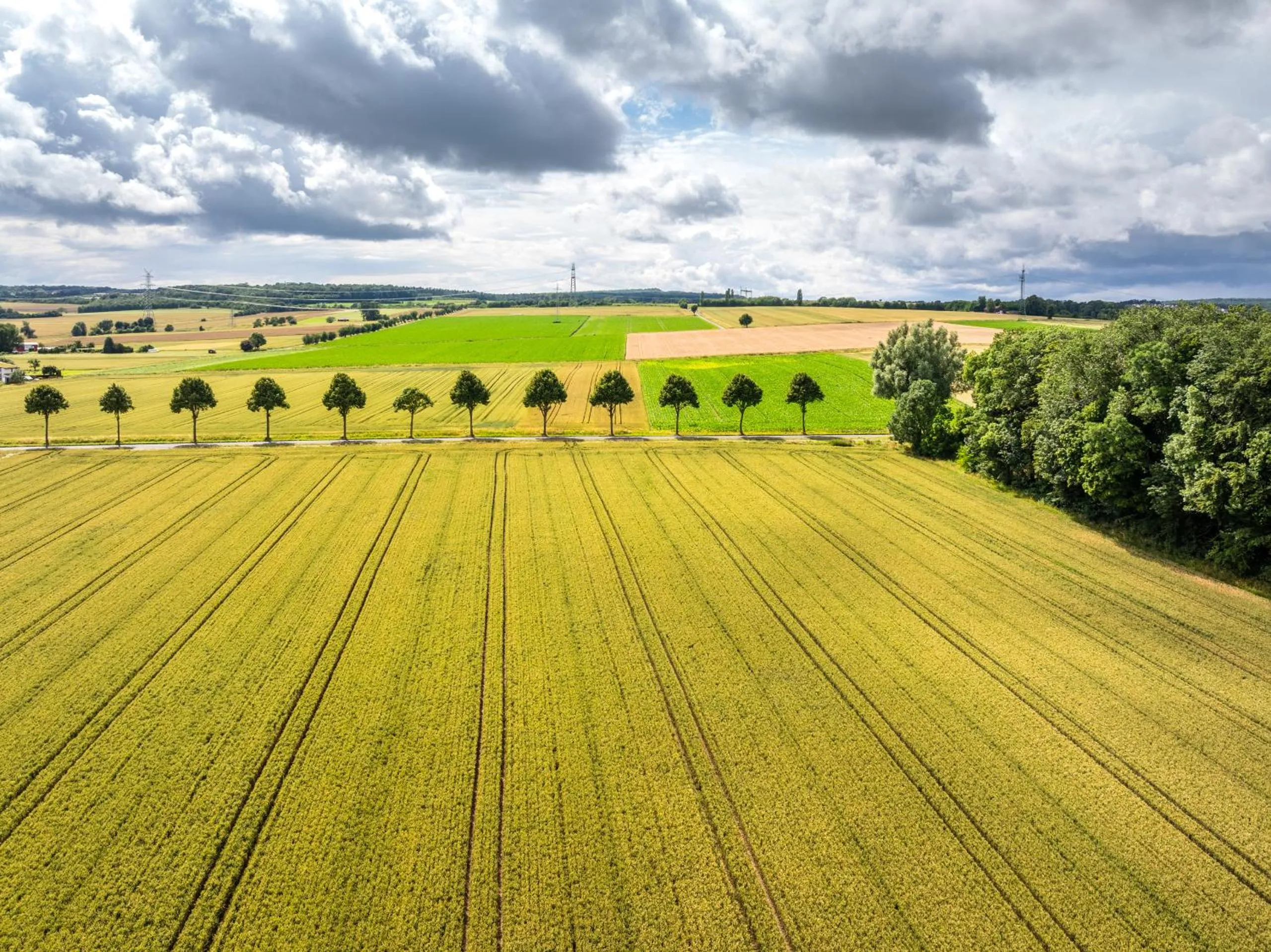Area and facilities in Hotel Göttingen-West