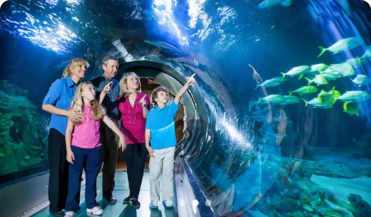 Entertainment in Executive 3 Bedroom Villa at Universal,Convention Center, Vista Cay