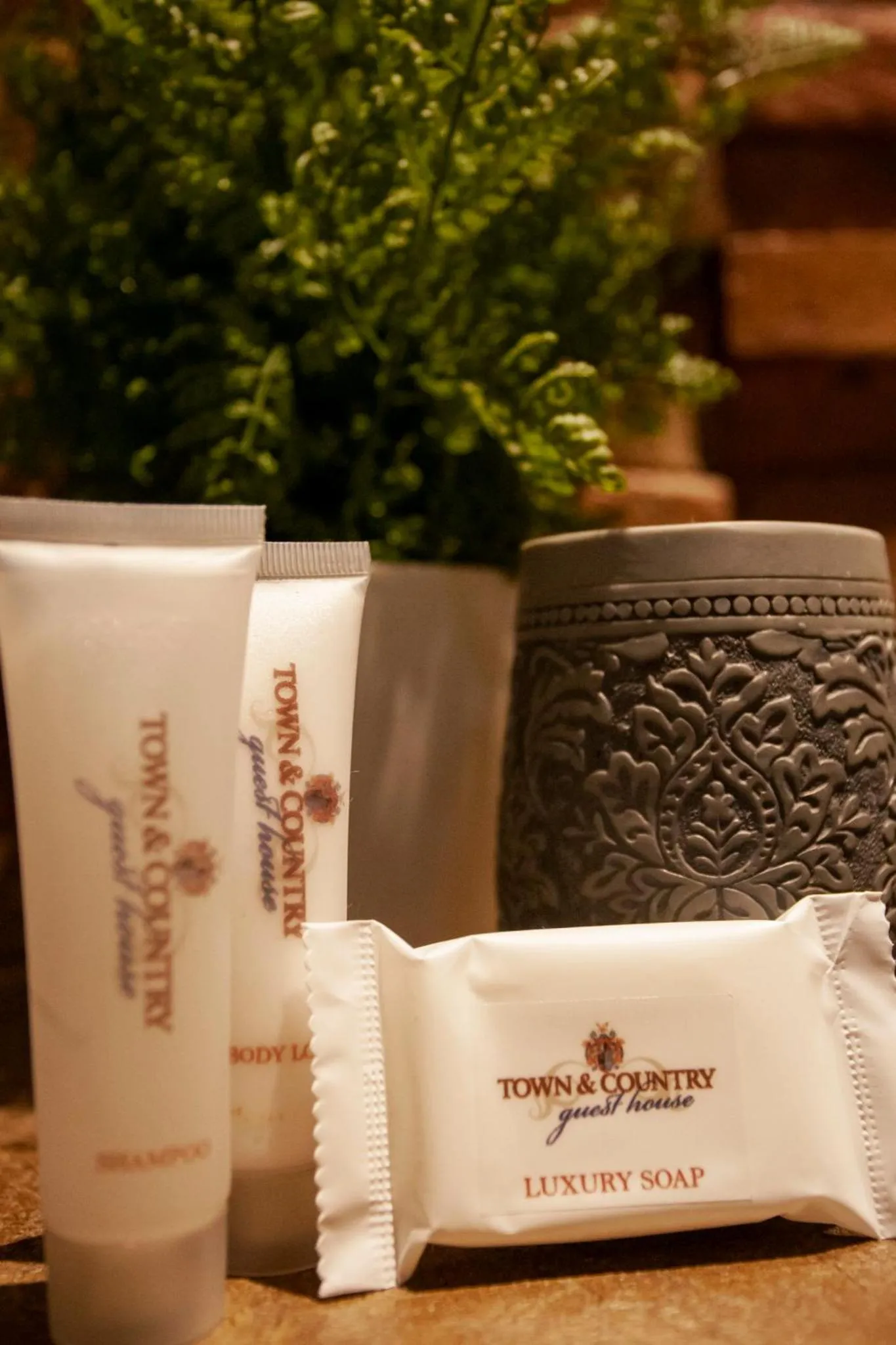 Town and Country Mpumalanga