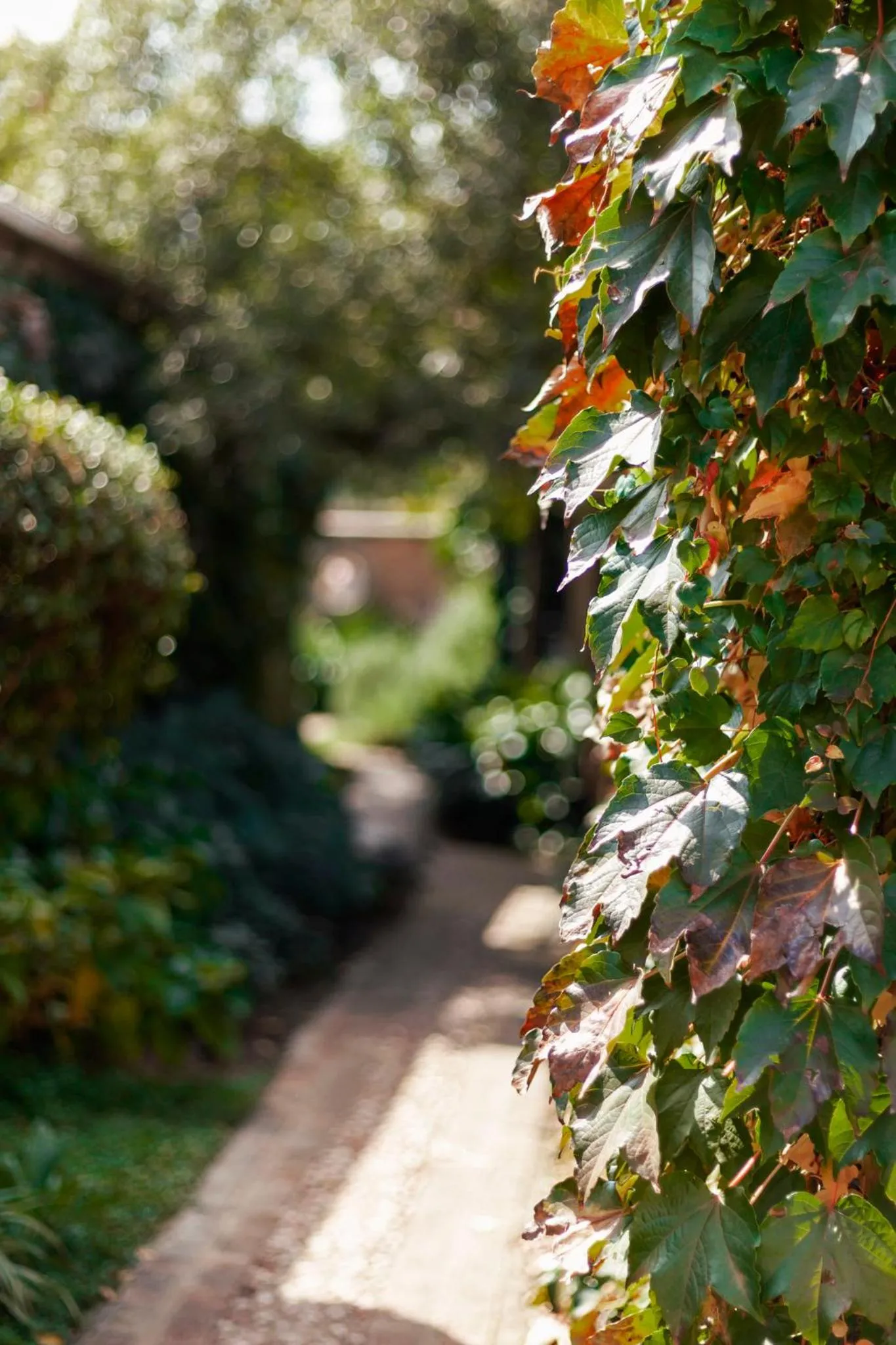 Town and Country Mpumalanga