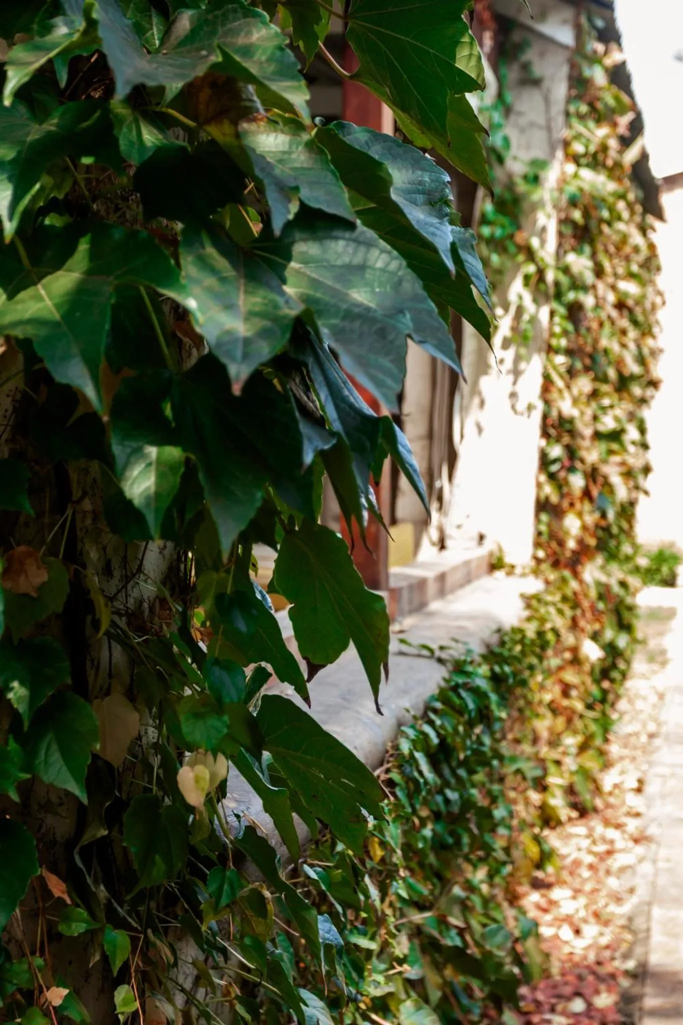 Town and Country Mpumalanga