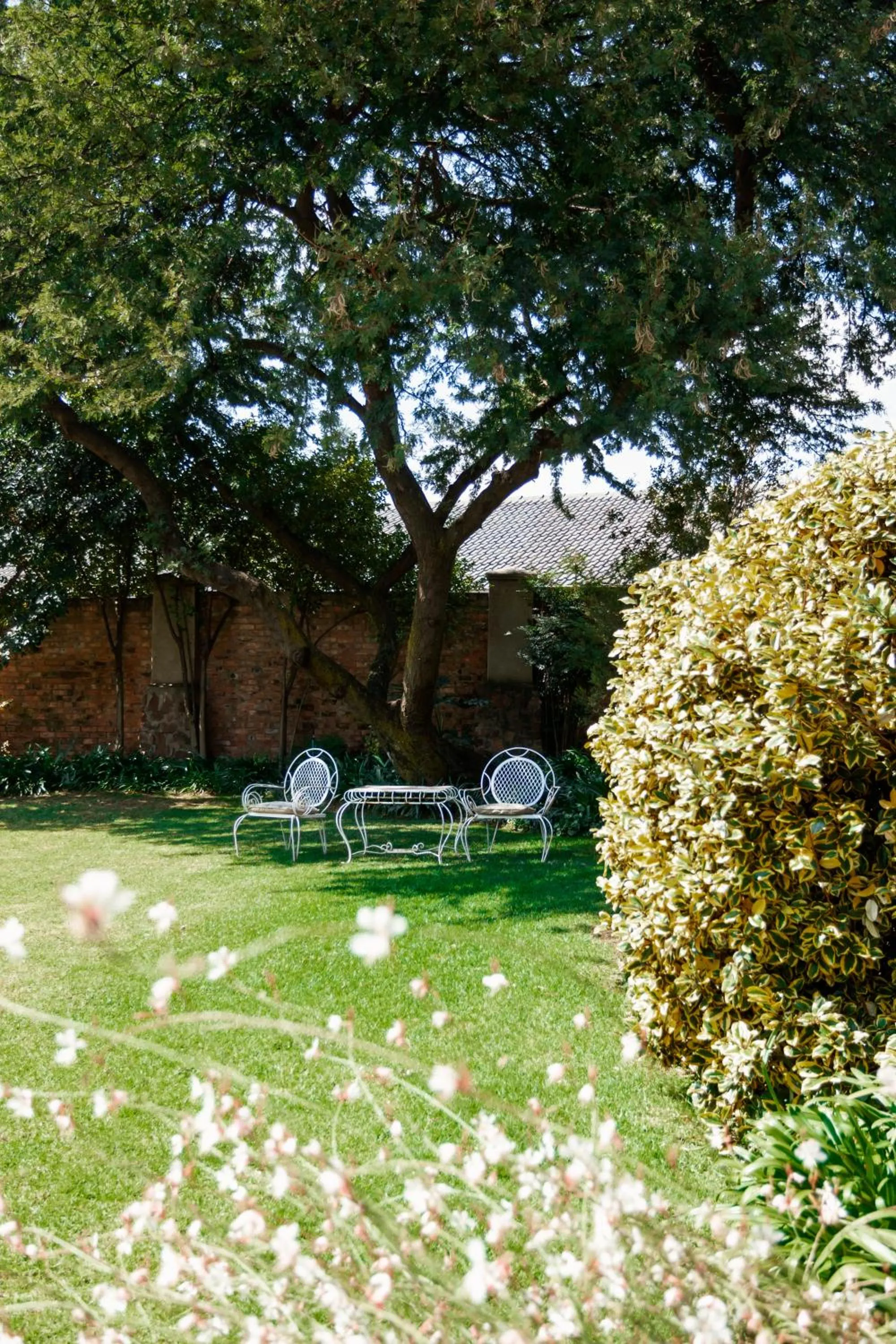 Town and Country Mpumalanga