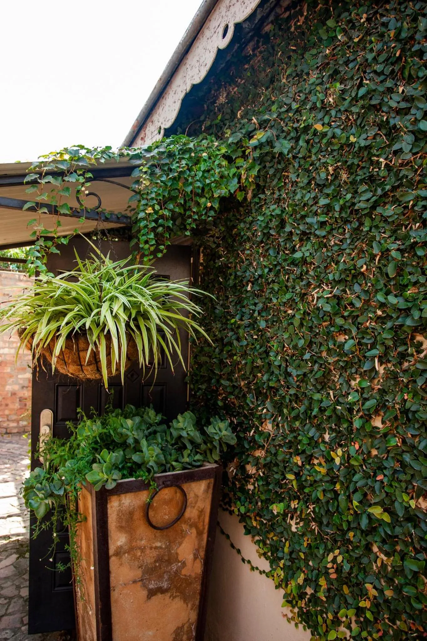 Town and Country Mpumalanga