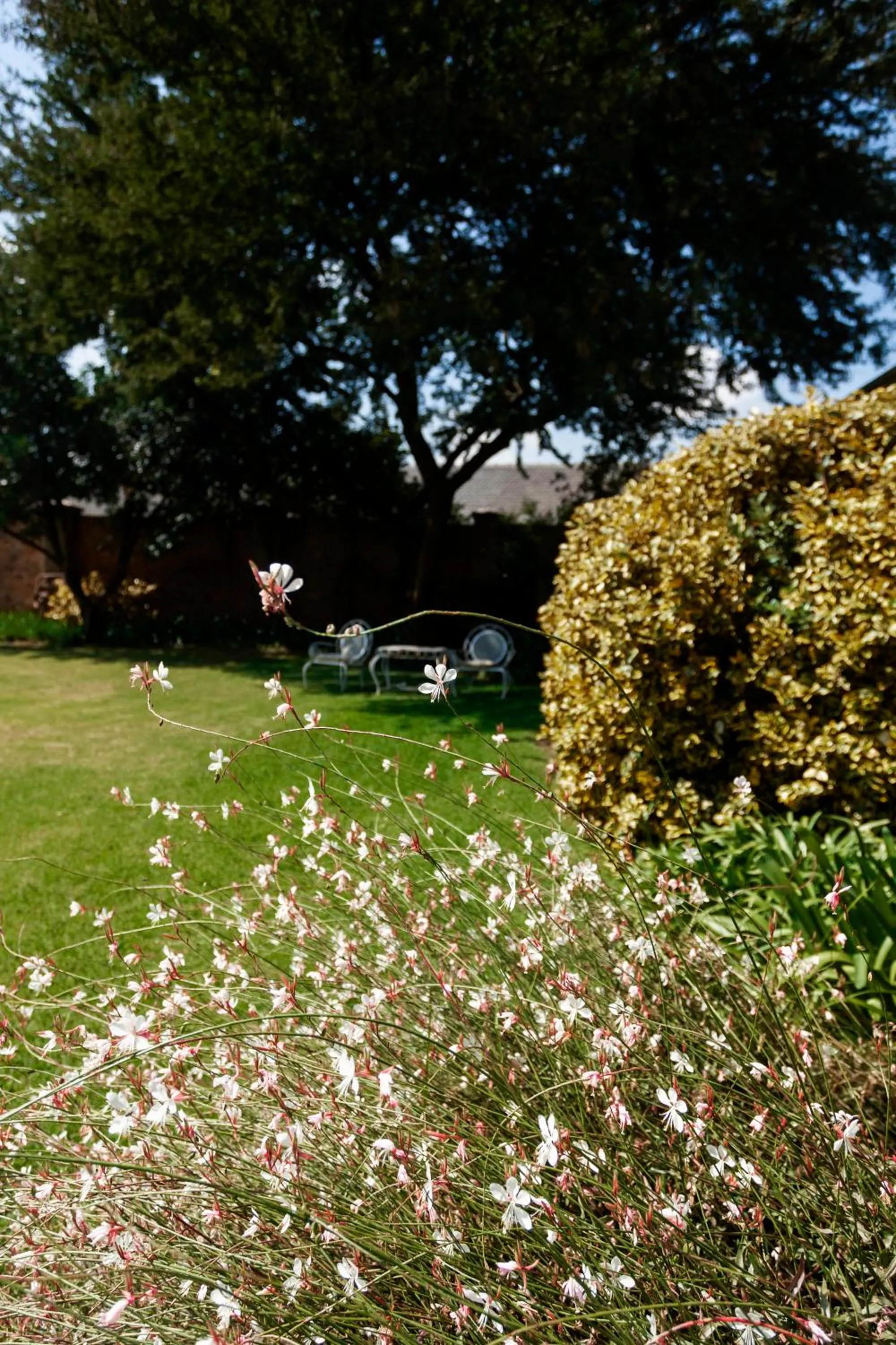 Town and Country Mpumalanga