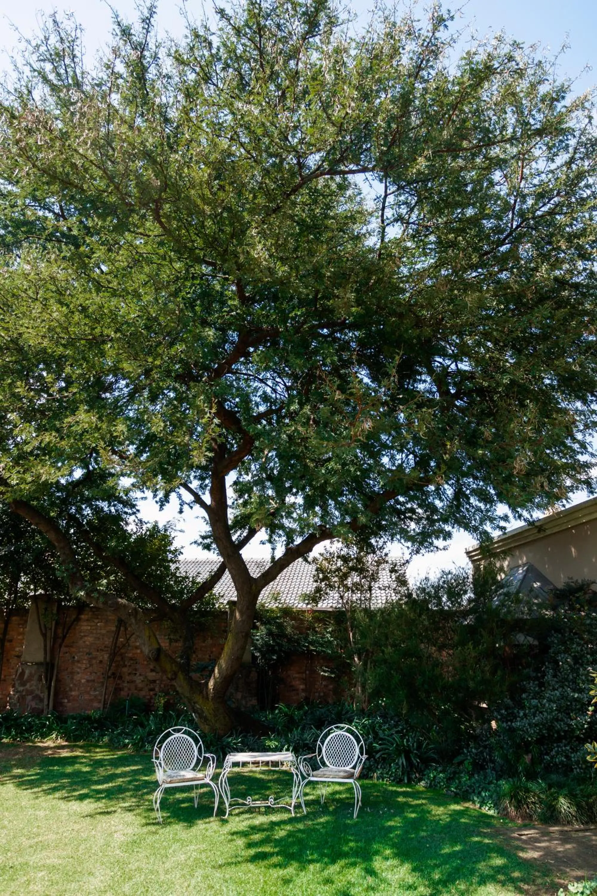 Town and Country Mpumalanga