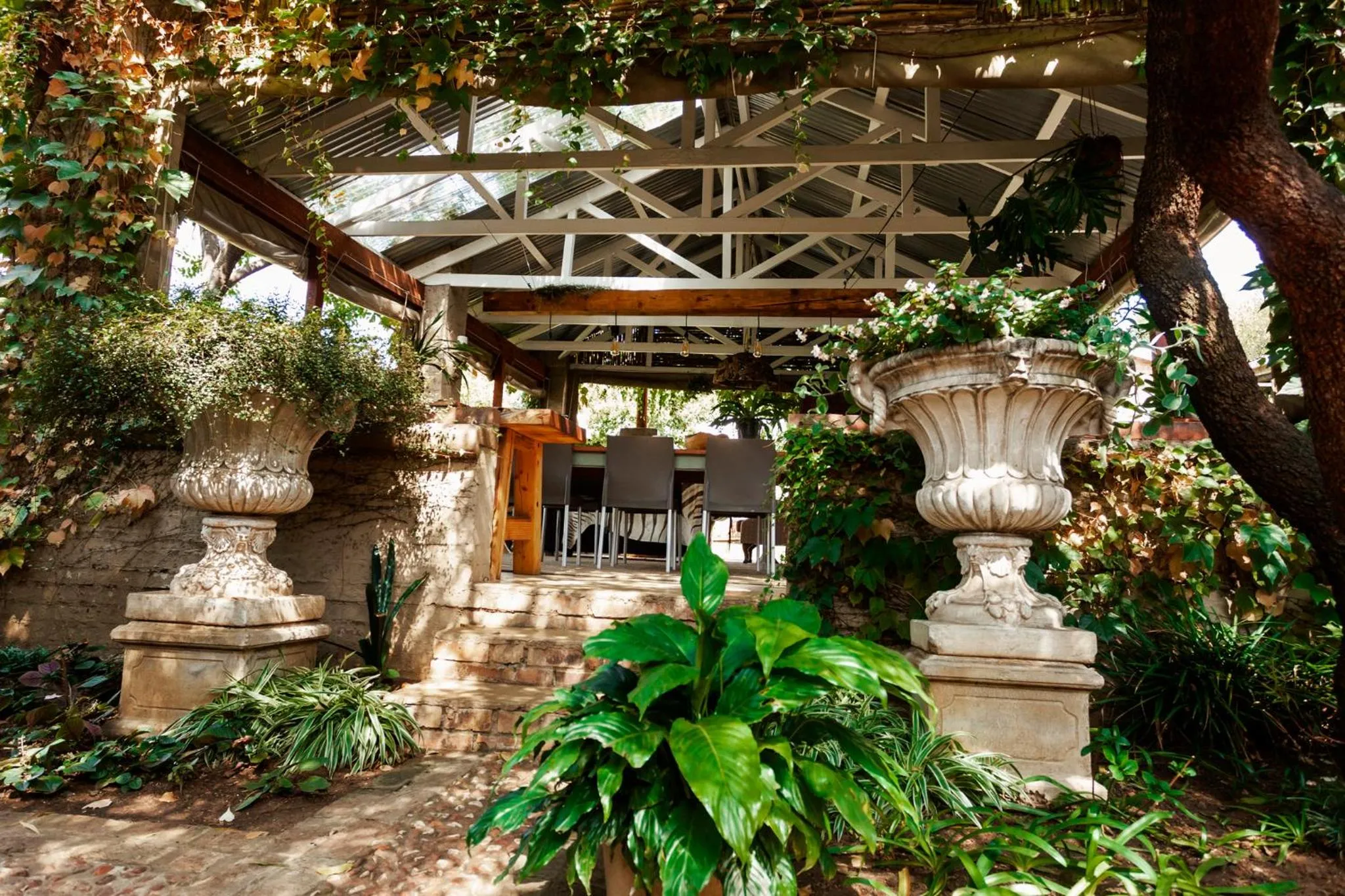 Town and Country Mpumalanga